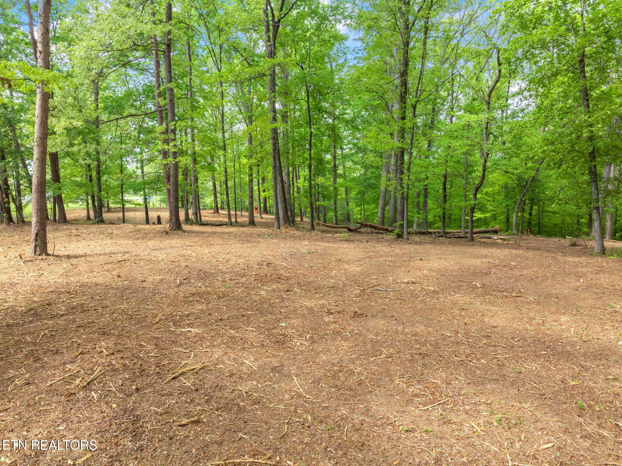 0 Highway 321 S Lenoir City TN 37772