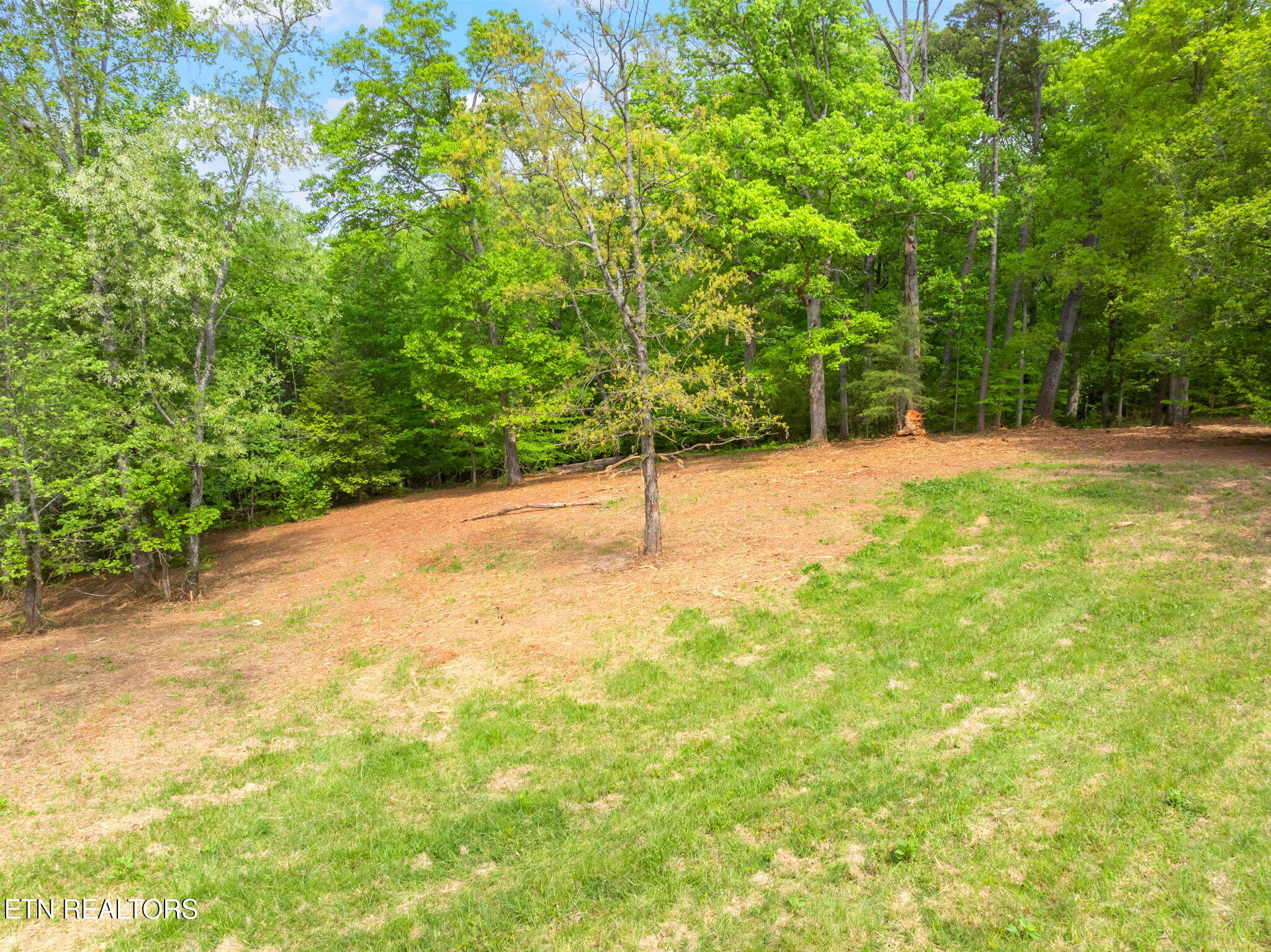 0 Highway 321 S Lenoir City TN 37772