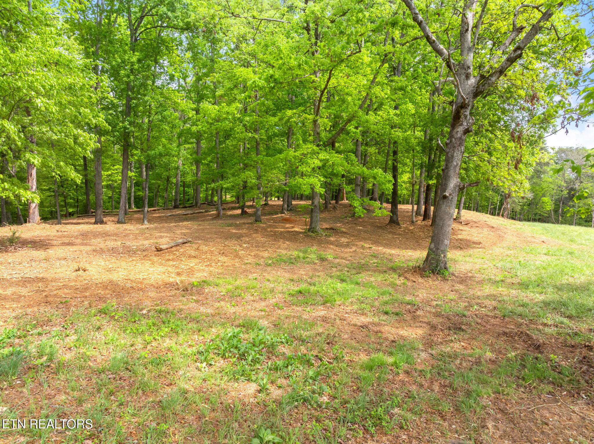 0 Highway 321 S Lenoir City TN 37772
