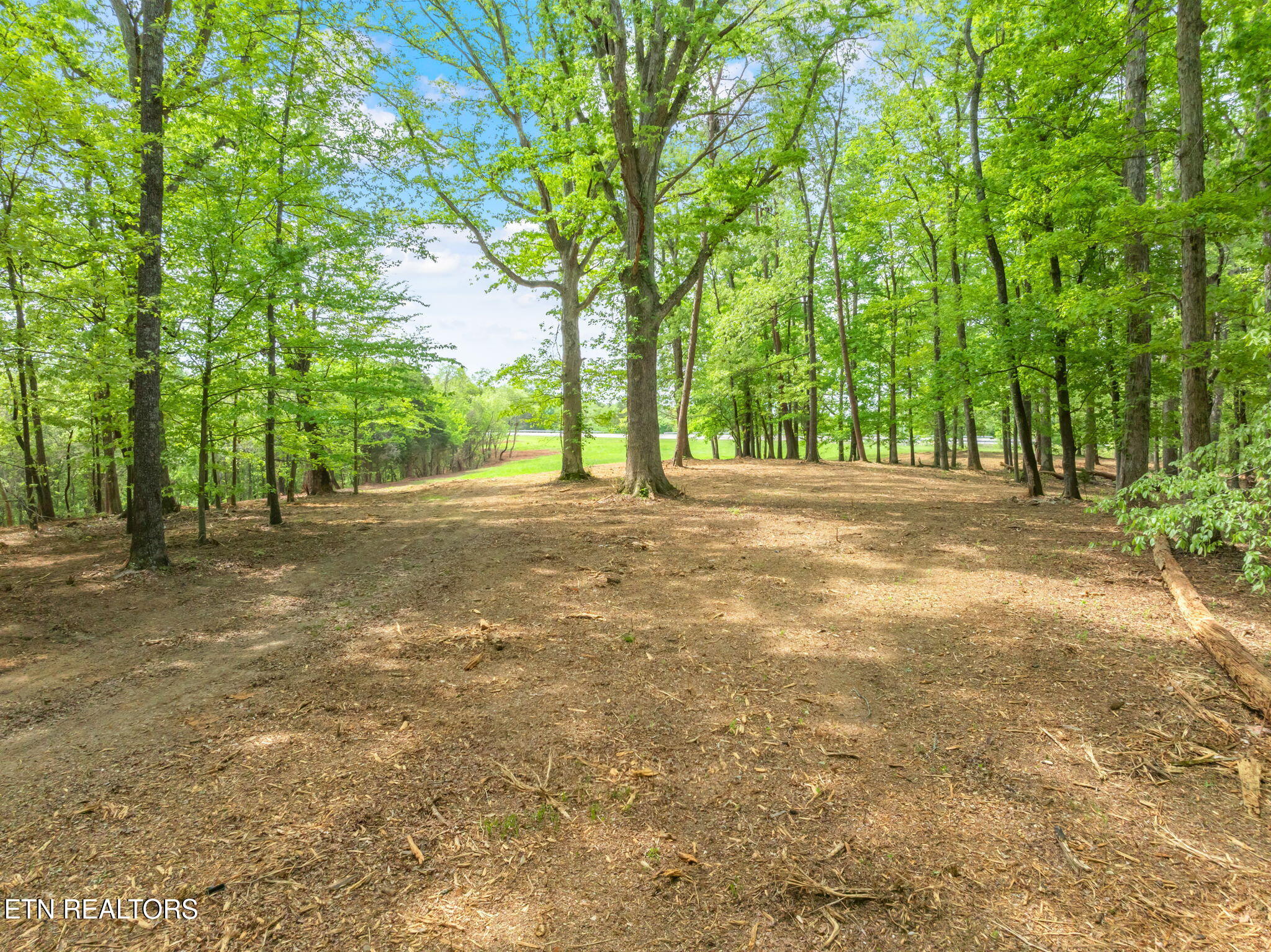 0 Highway 321 S Lenoir City TN 37772