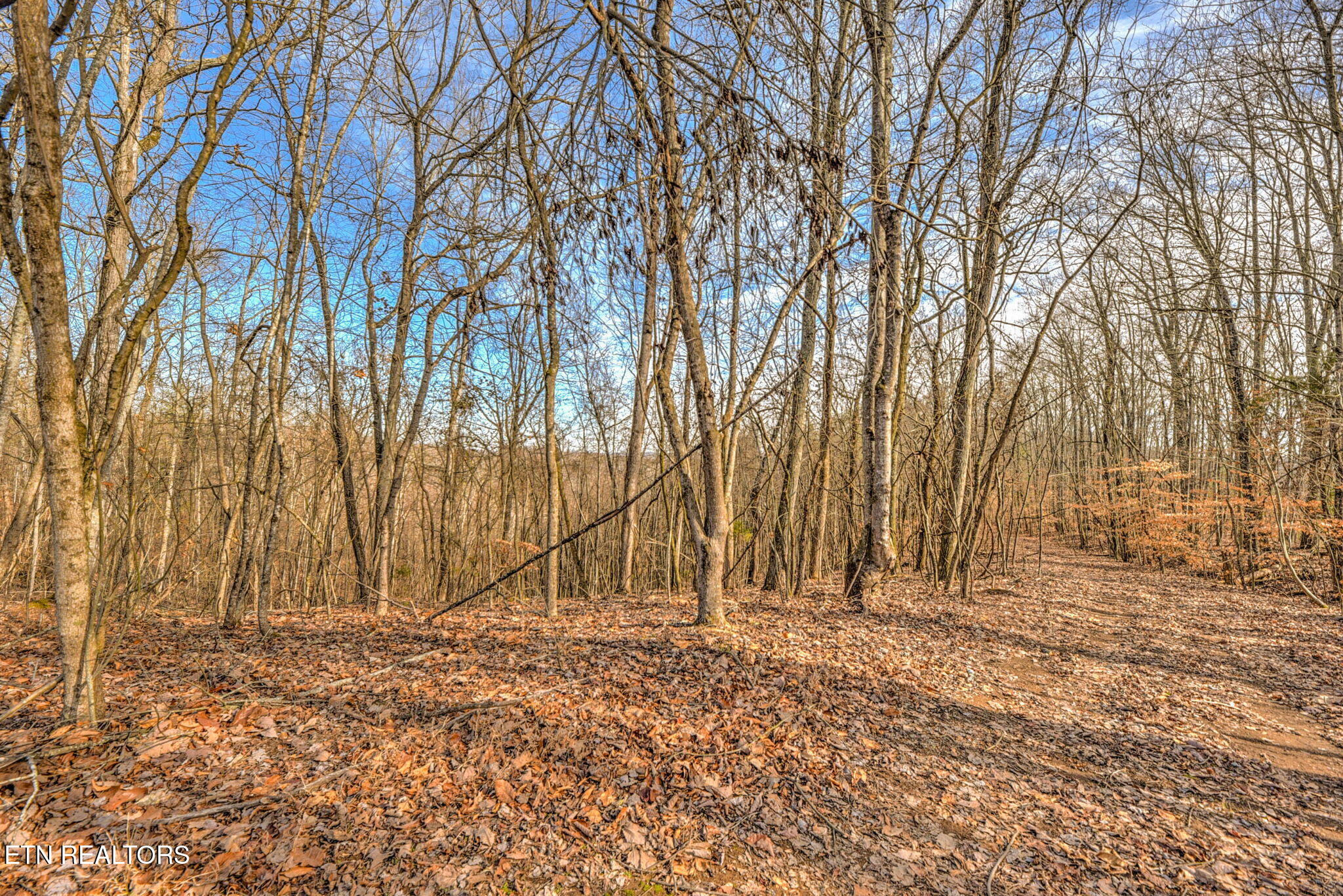 470 Clara Mae Drive Rockwood TN 37854
