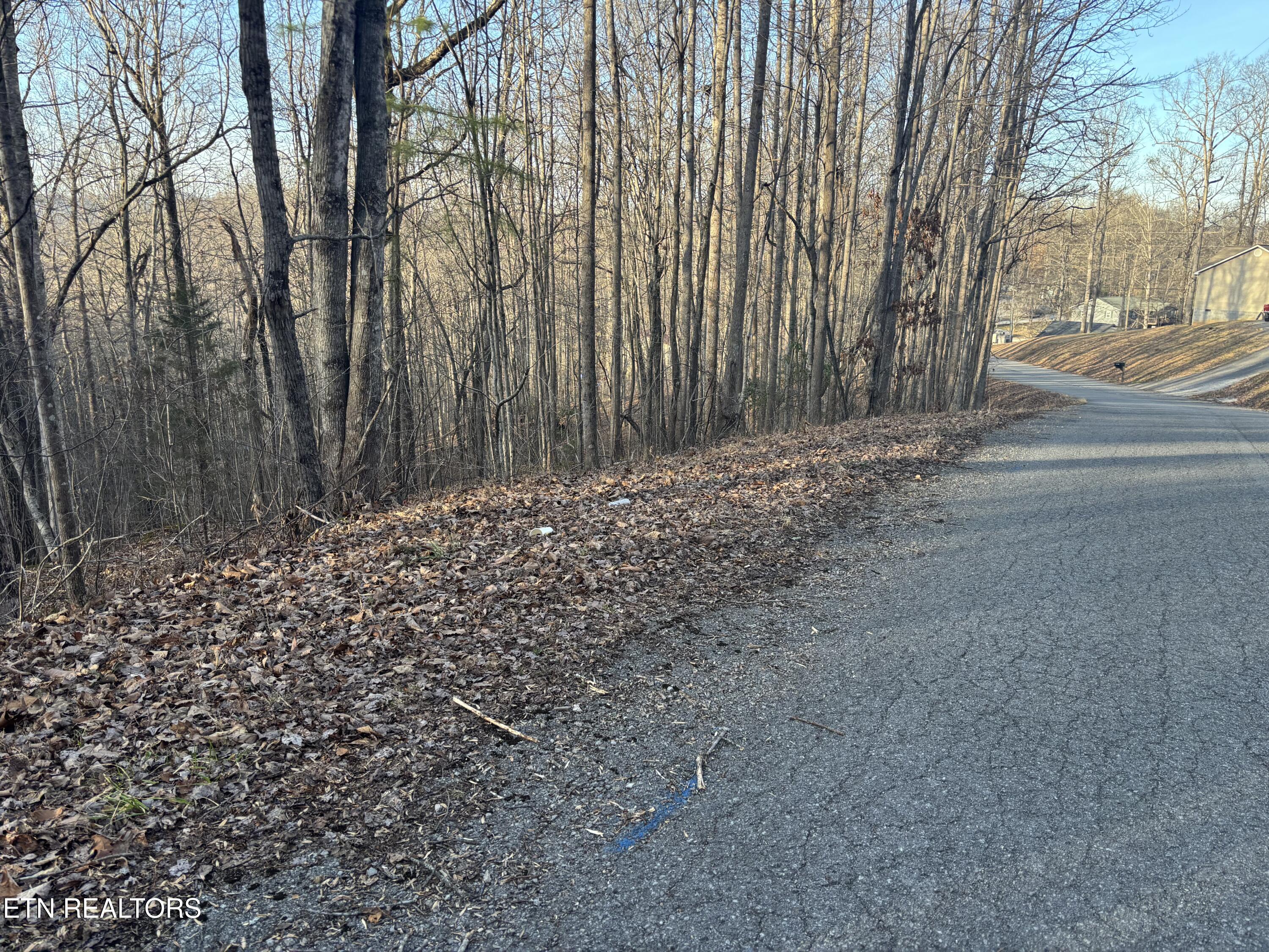 Kay Drive Lafollette TN 37766