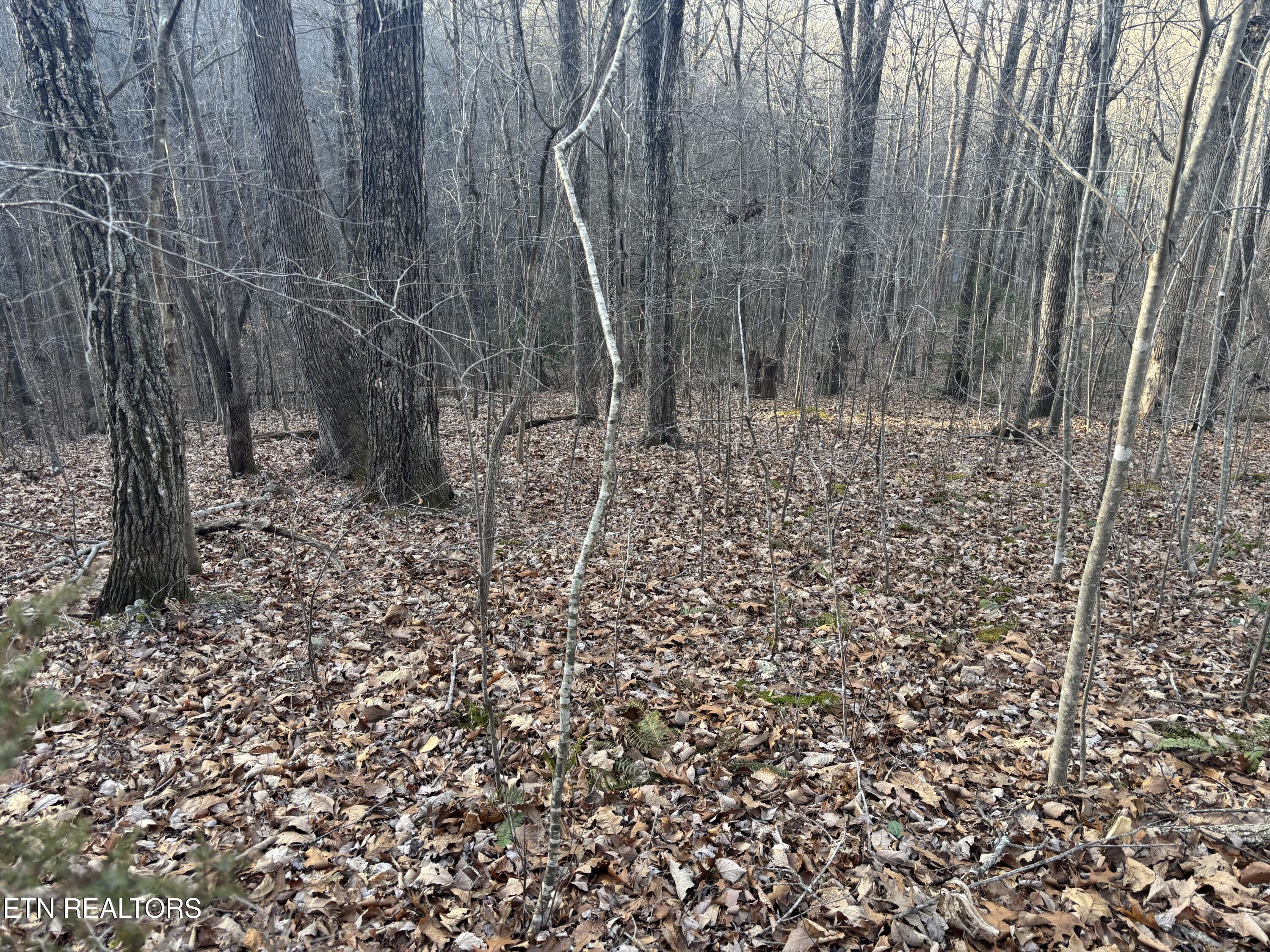 Kay Drive Lafollette TN 37766