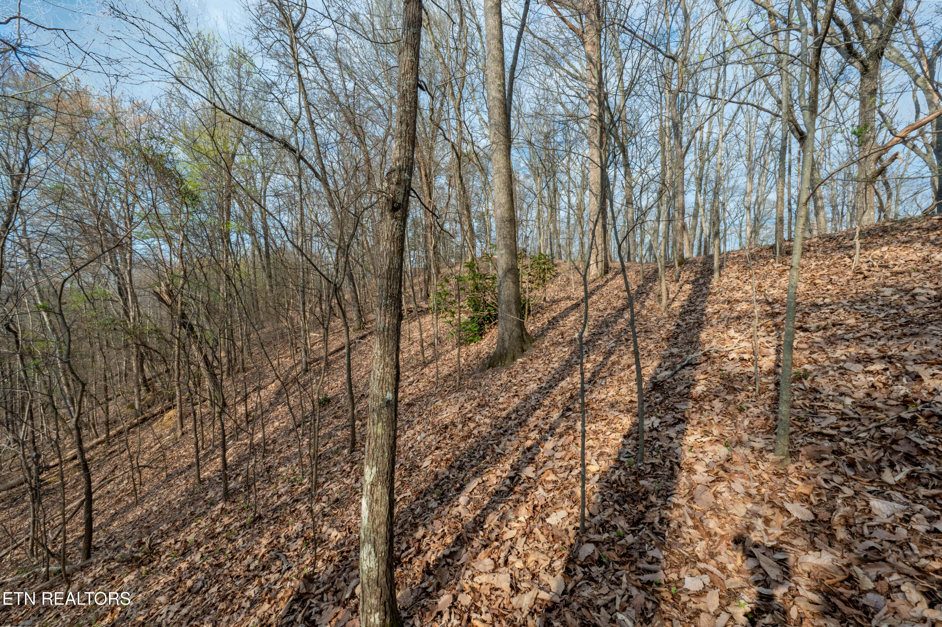 N Cunningham Road Seymour TN 37865