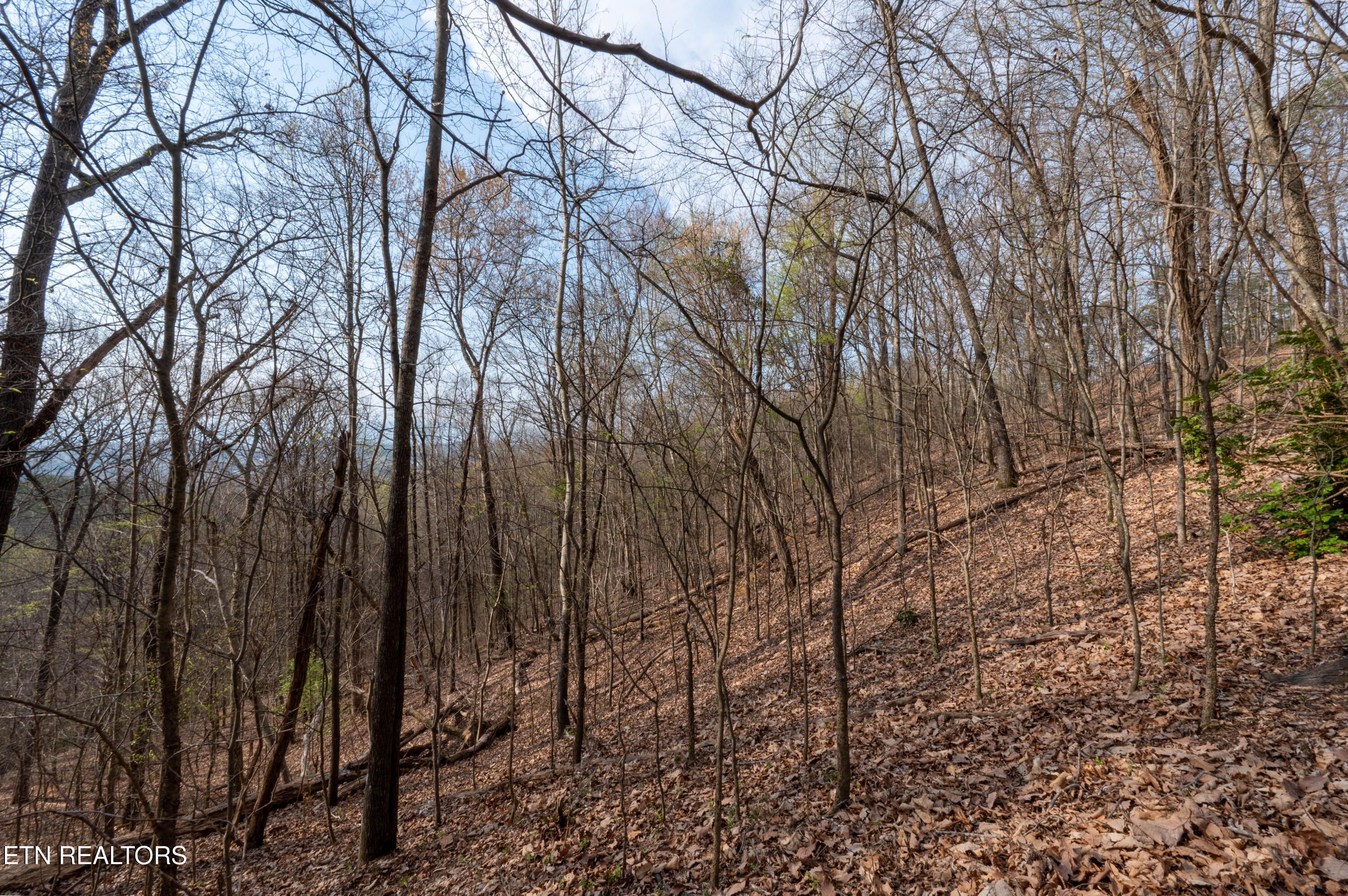 N Cunningham Road Seymour TN 37865