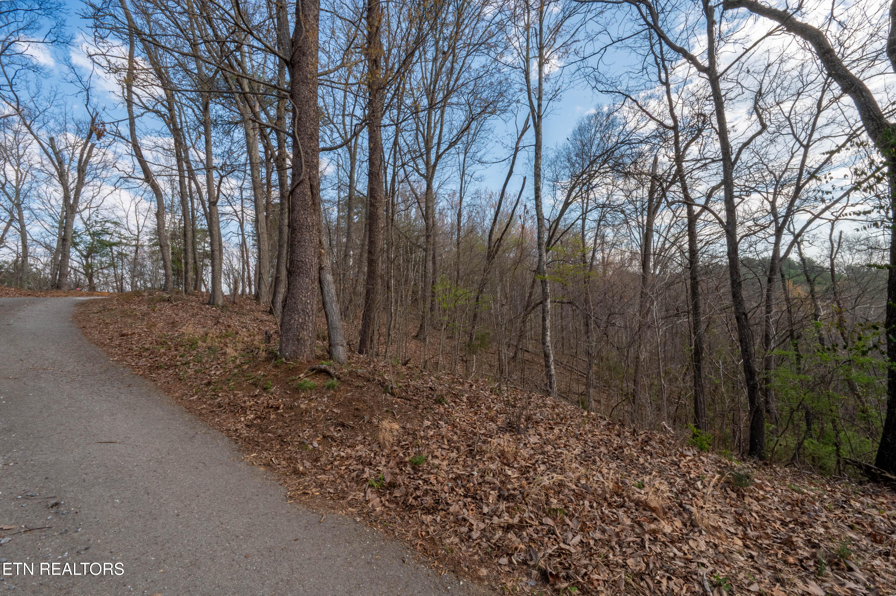 N Cunningham Road Seymour TN 37865