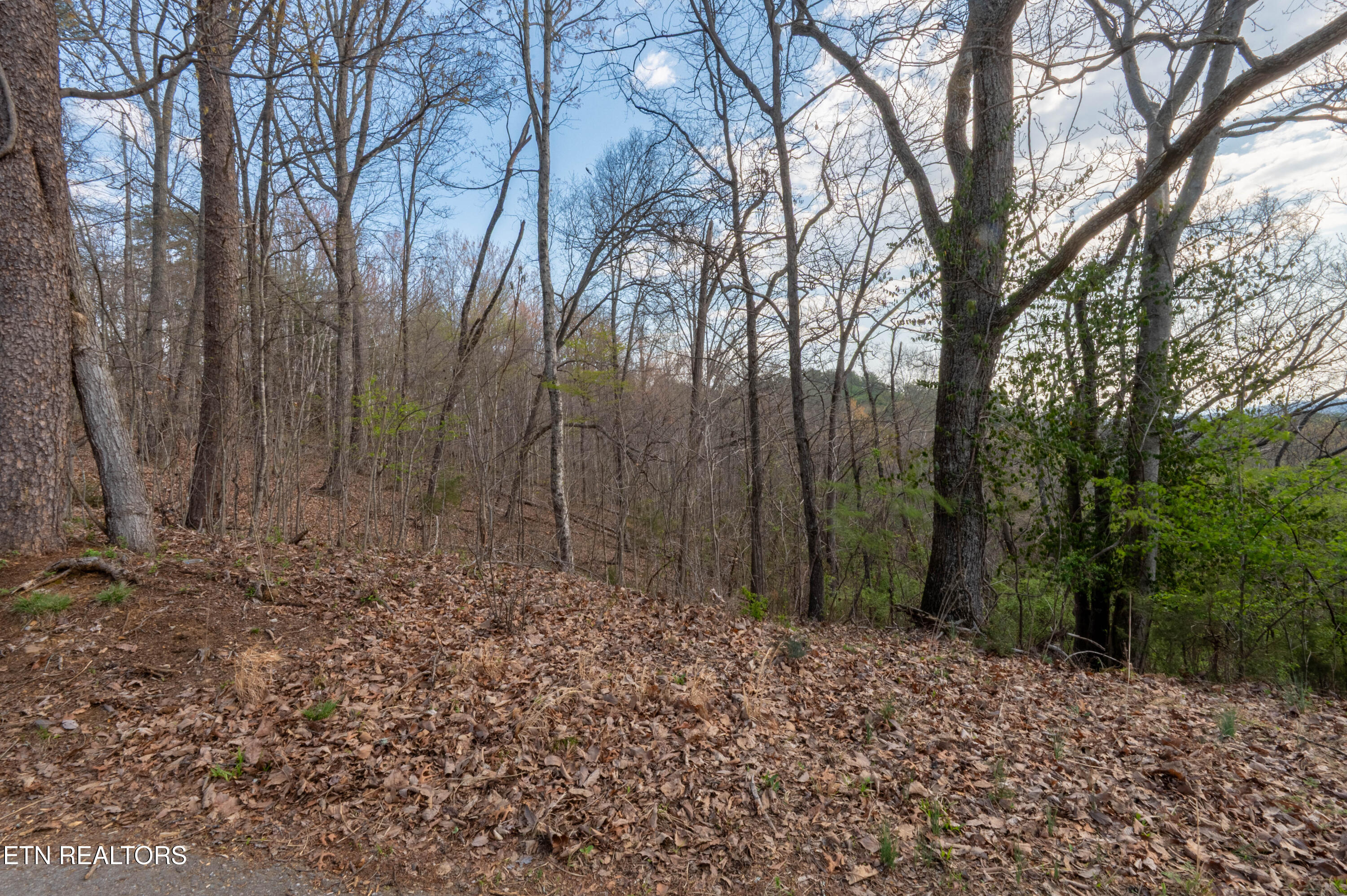 N Cunningham Road Seymour TN 37865