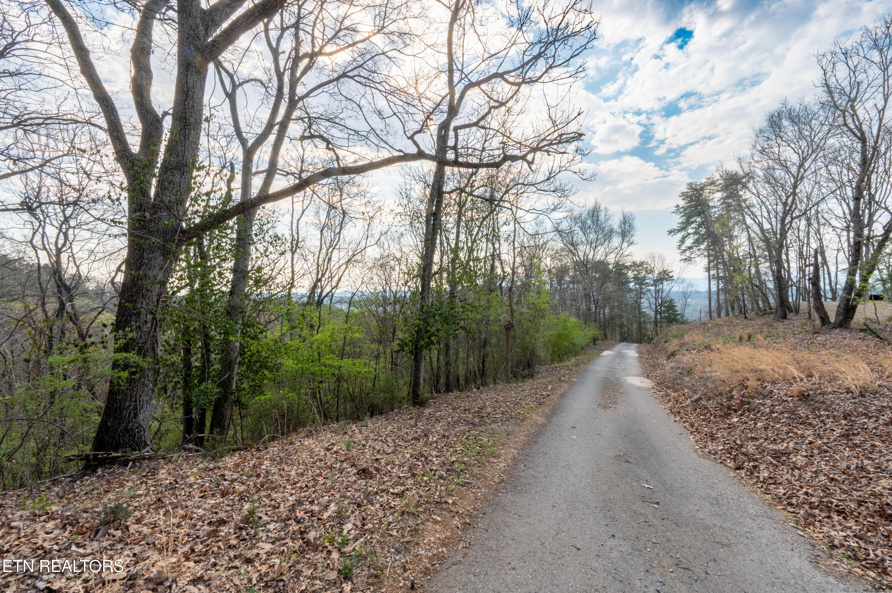 N Cunningham Road Seymour TN 37865