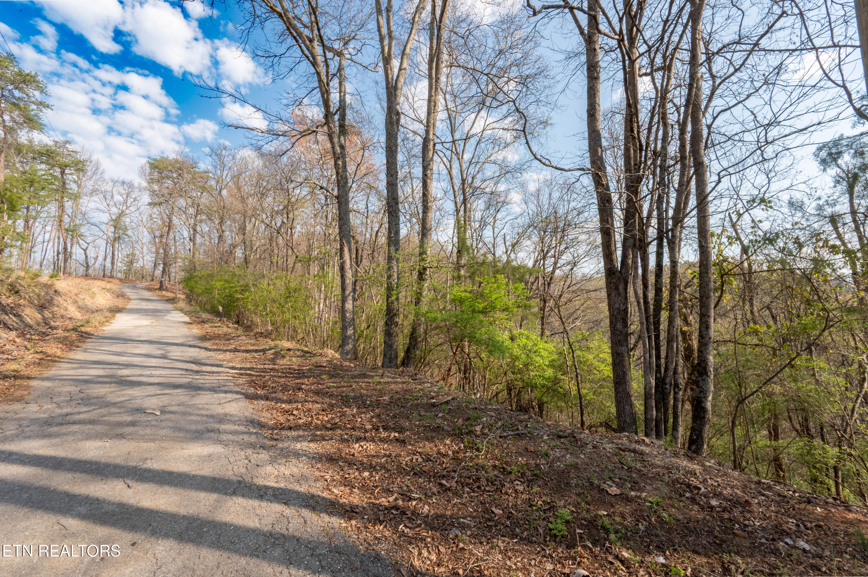 N Cunningham Road Seymour TN 37865