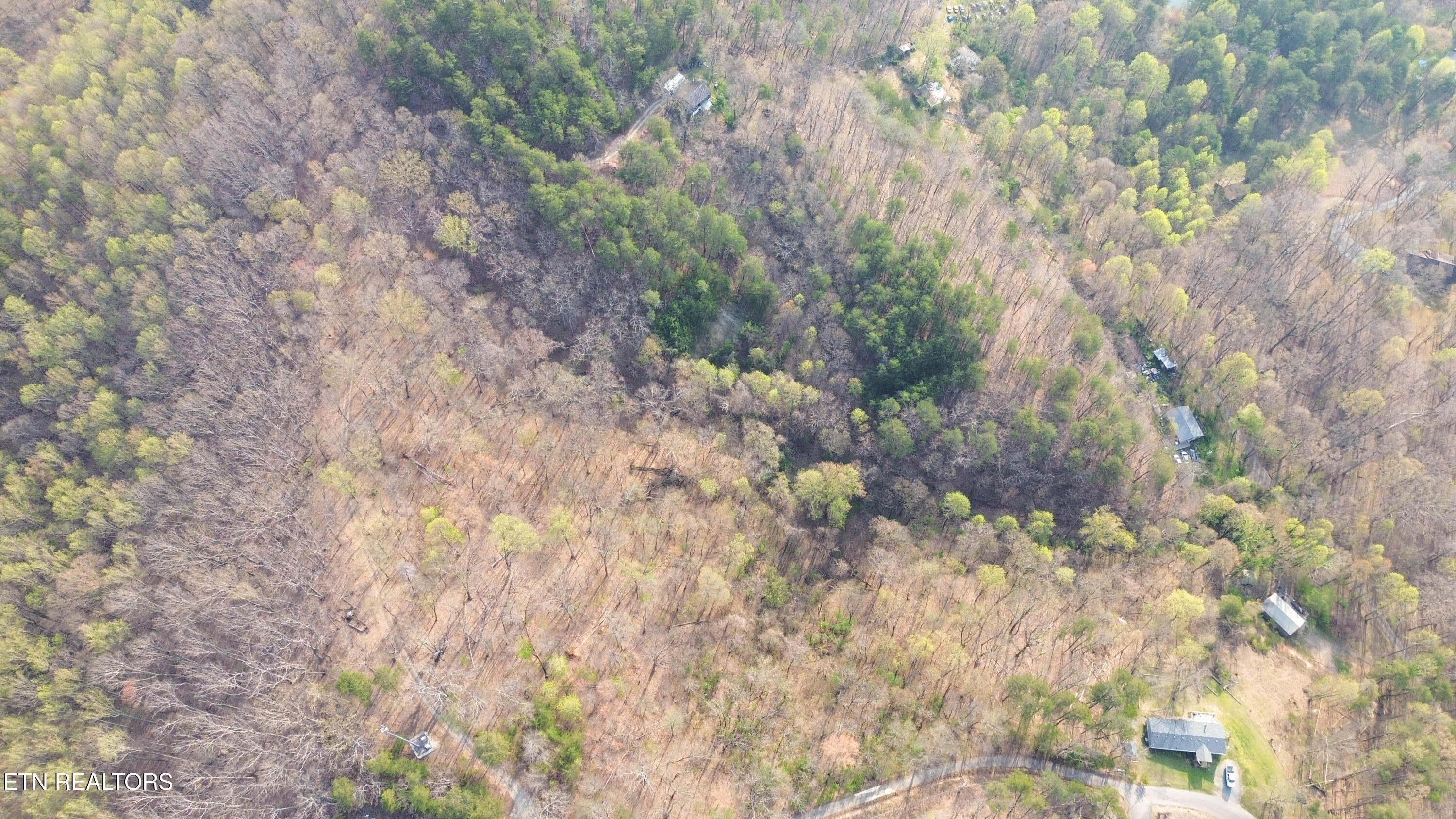 N Cunningham Road Seymour TN 37865