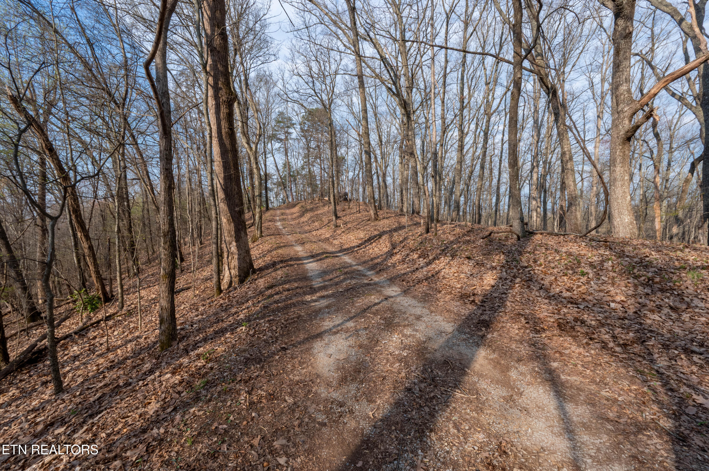 N Cunningham Road Seymour TN 37865
