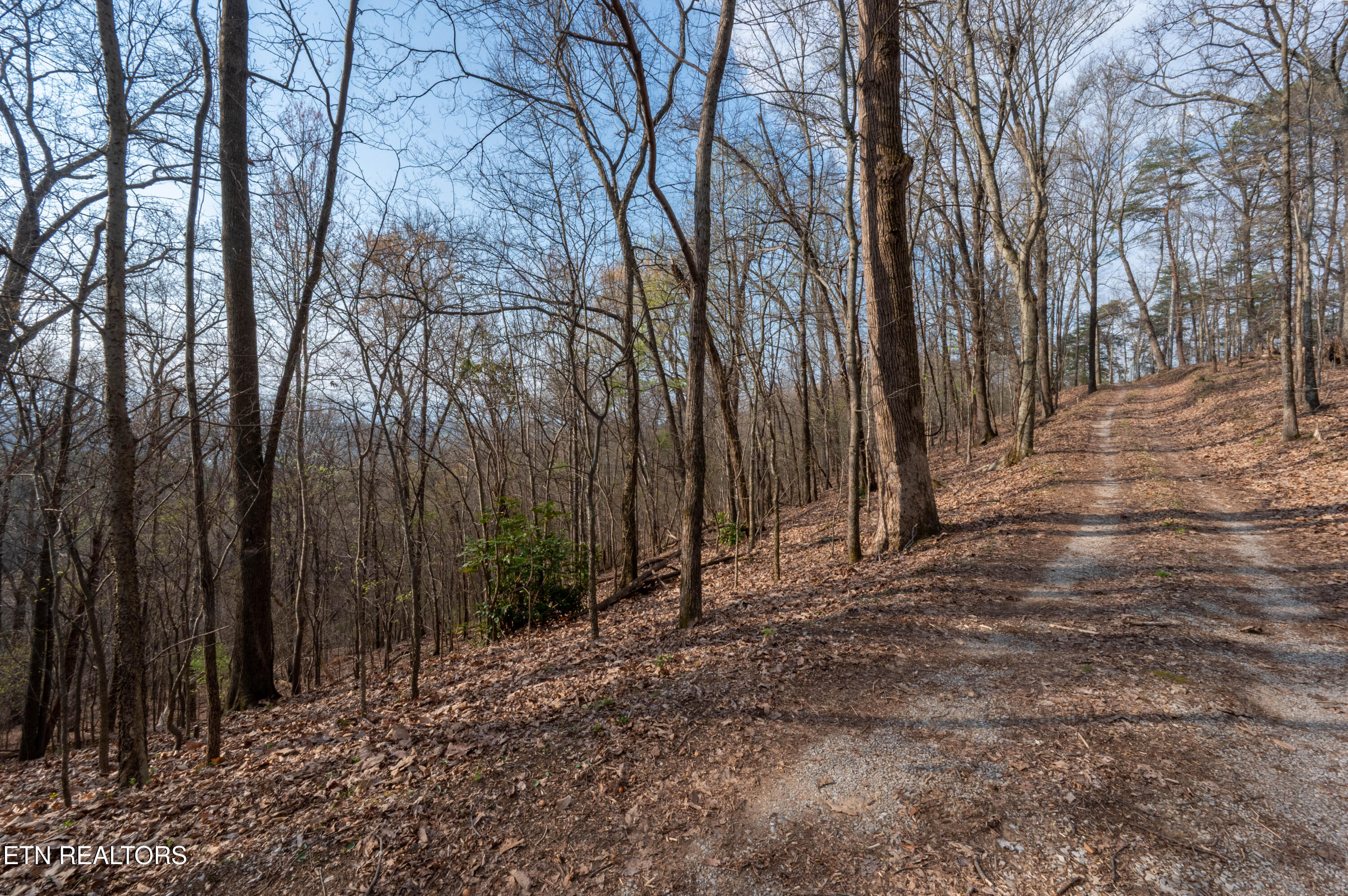 N Cunningham Road Seymour TN 37865