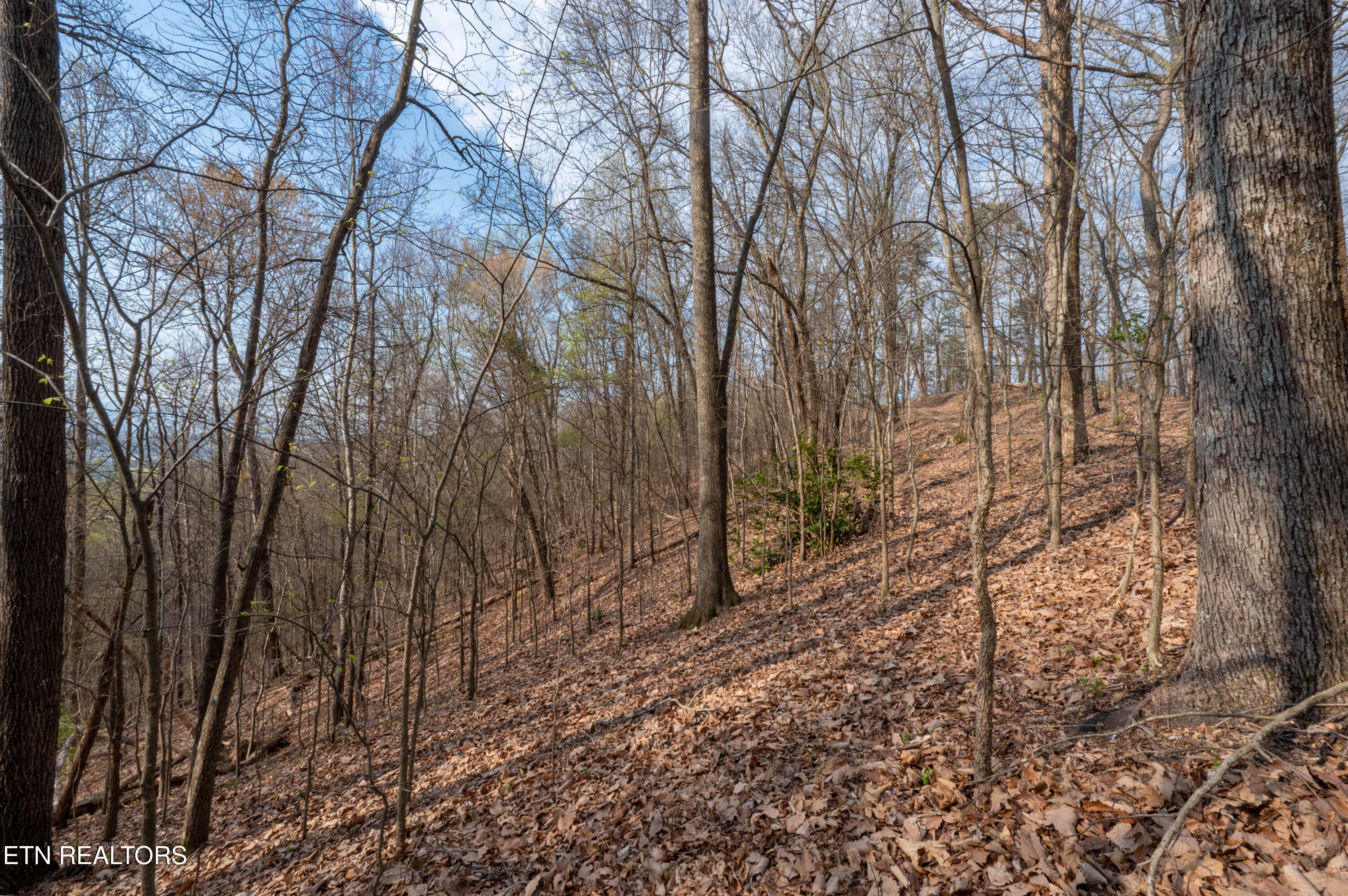 N Cunningham Road Seymour TN 37865
