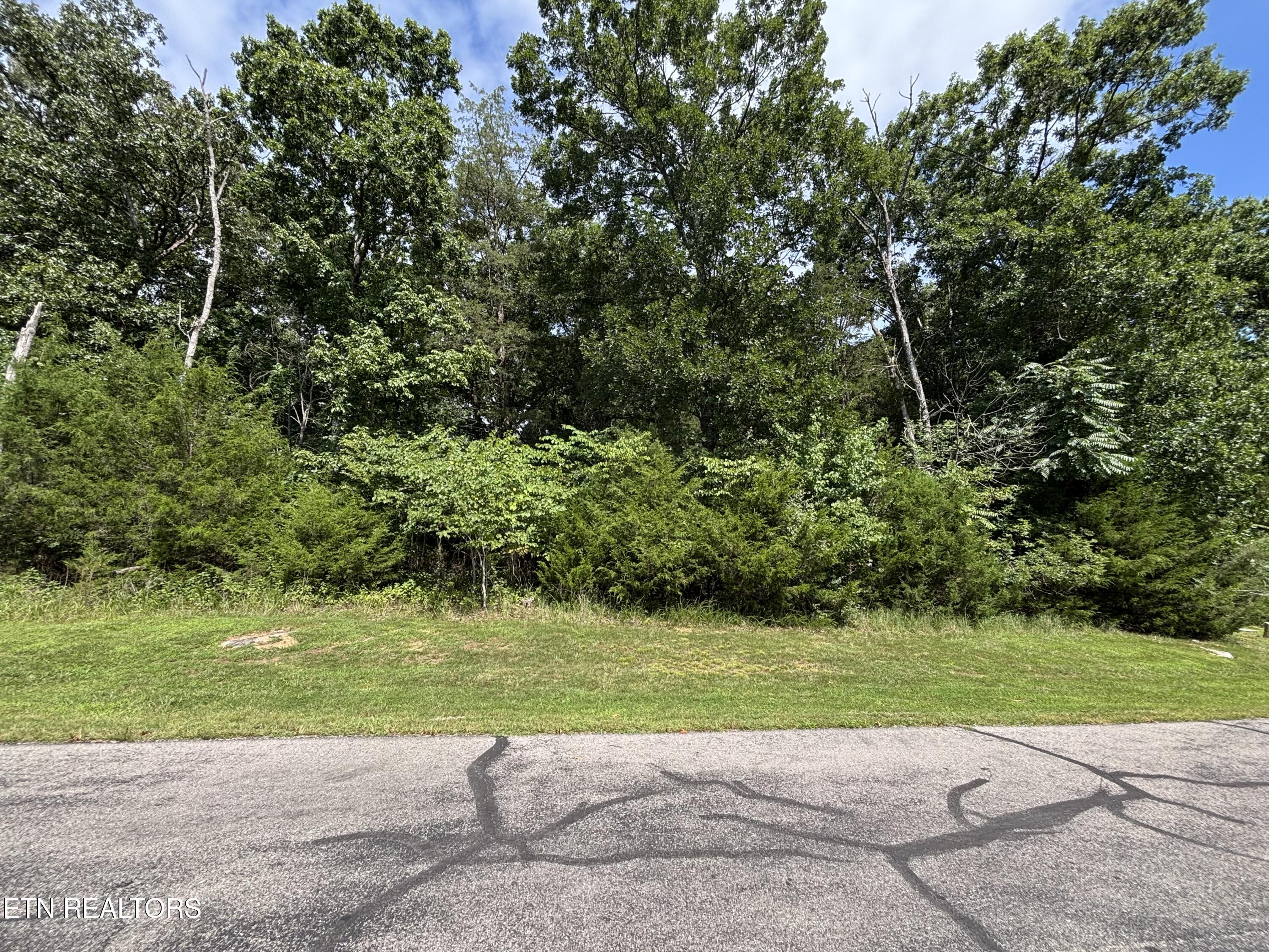 Bay Shore Drive Rockwood TN 37854