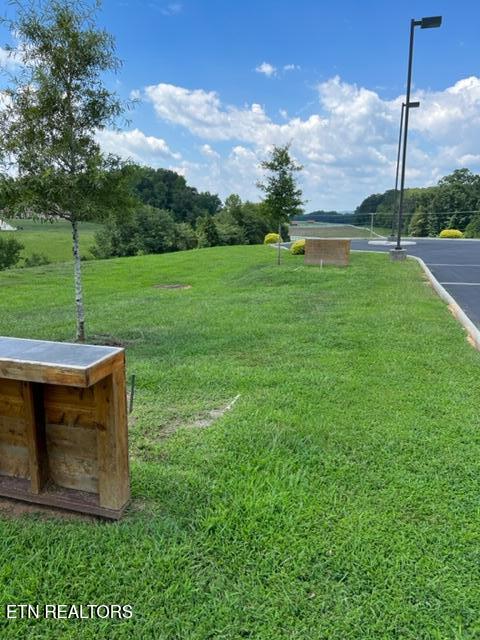 Bay Shore Drive Rockwood TN 37854