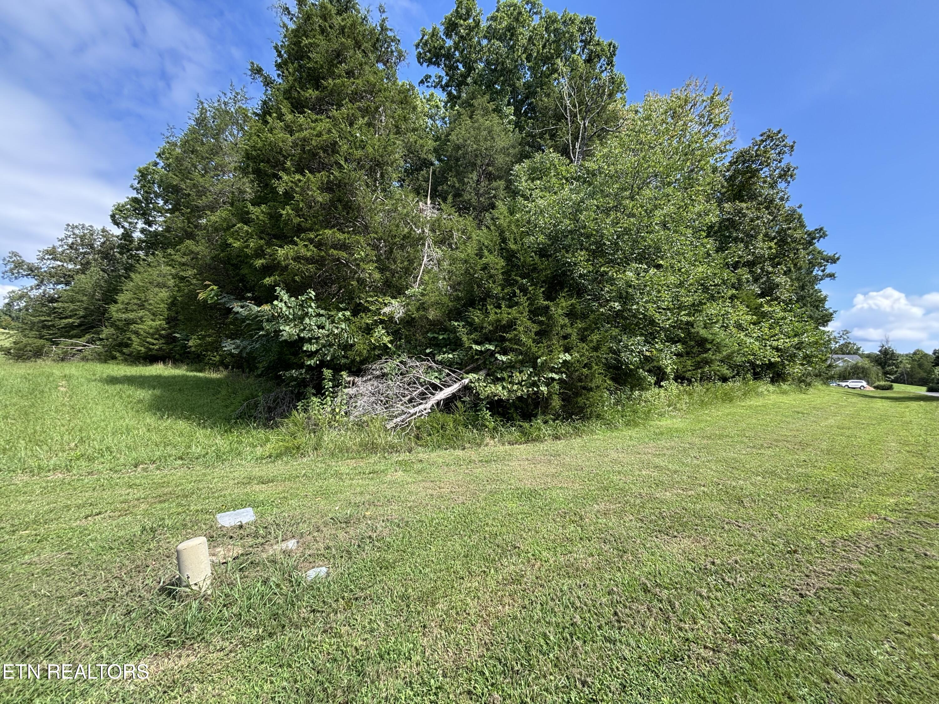 Bay Shore Drive Rockwood TN 37854