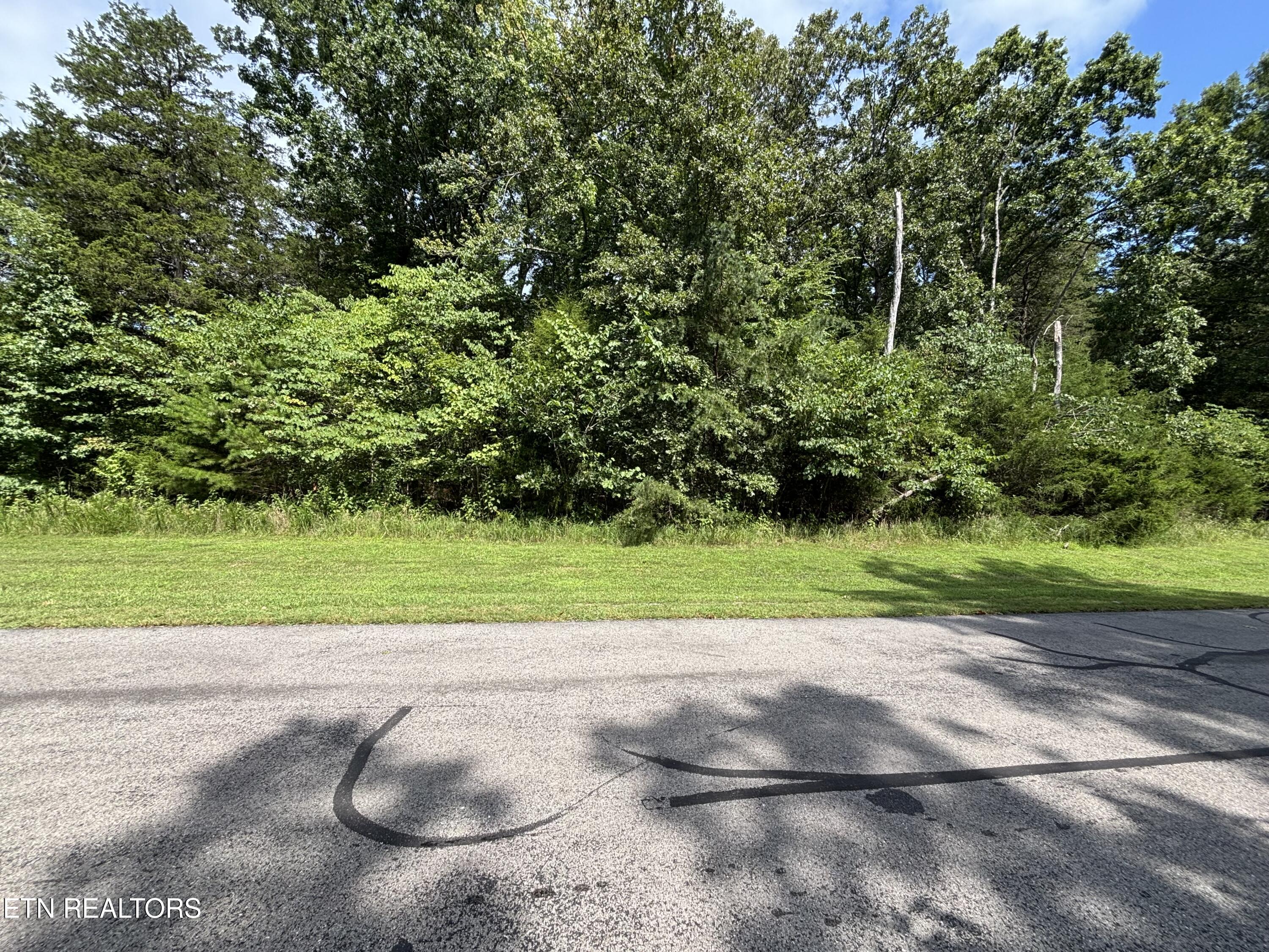 Bay Shore Drive Rockwood TN 37854
