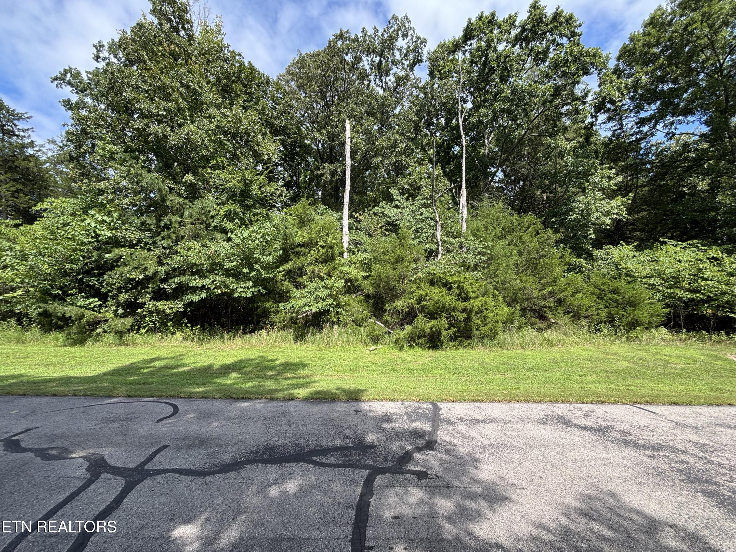 Bay Shore Drive Rockwood TN 37854