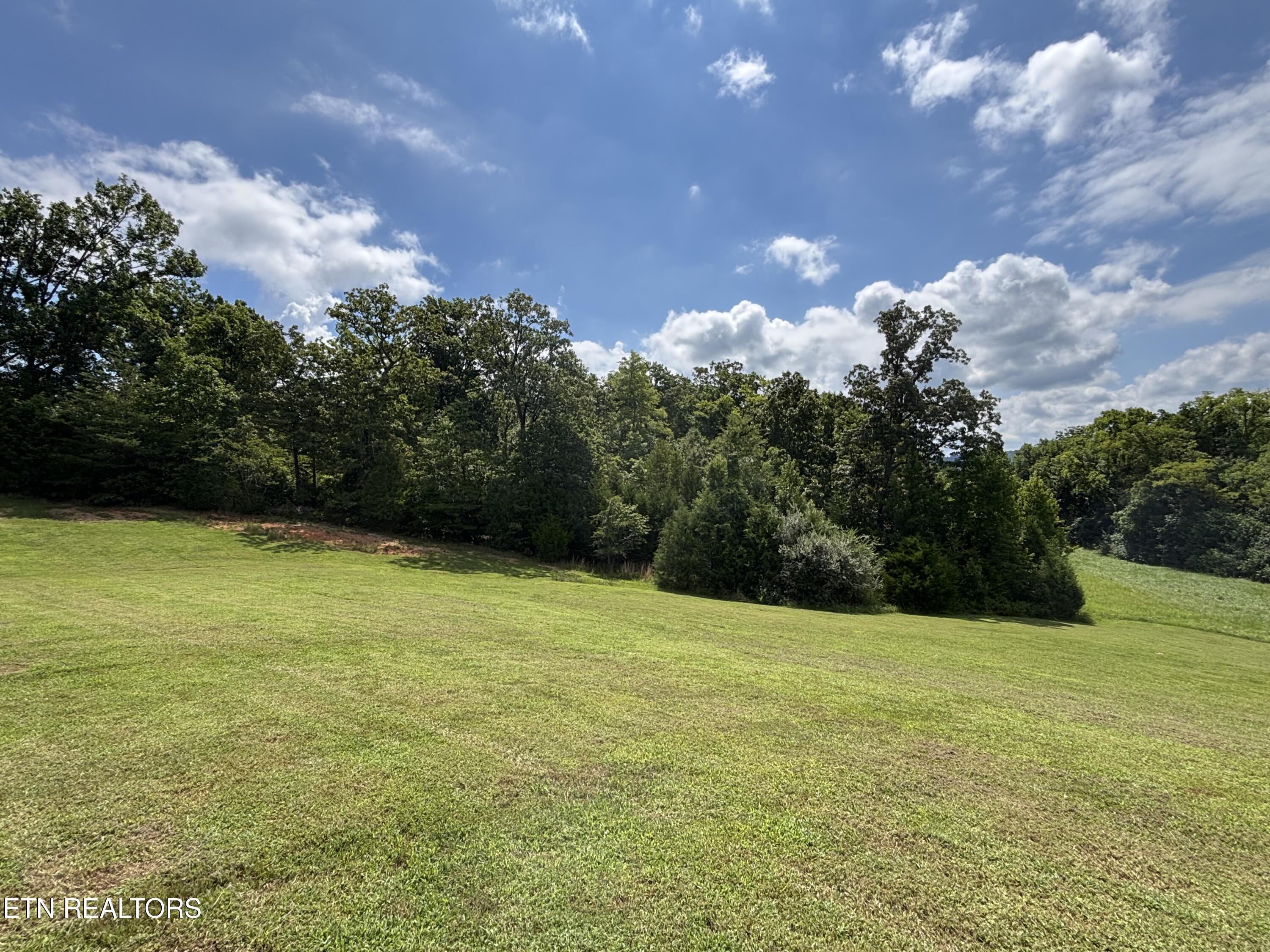 Bay Shore Drive Rockwood TN 37854