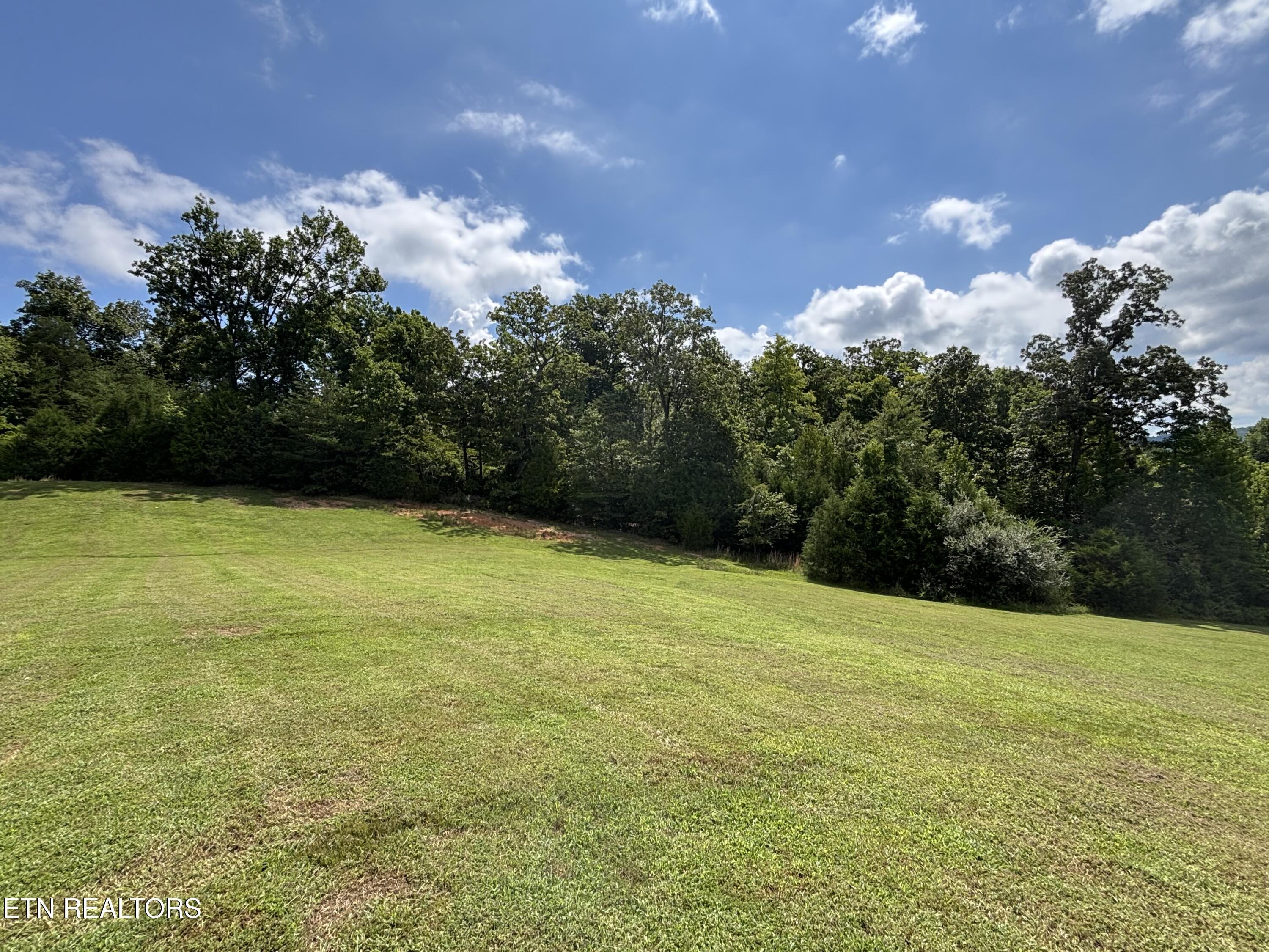 Bay Shore Drive Rockwood TN 37854