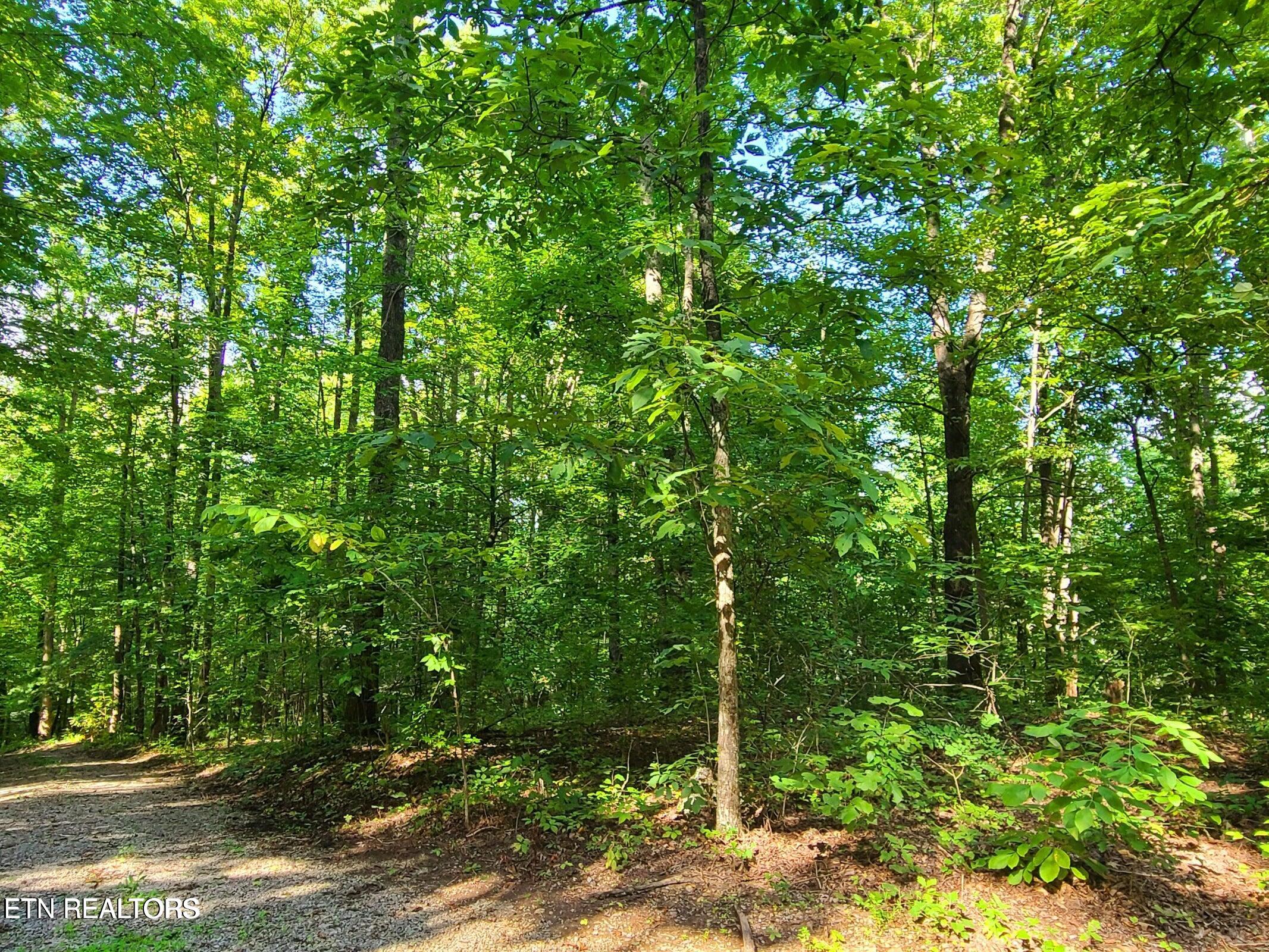 Lot 9 Walden Flats Way Sevierville TN 37862