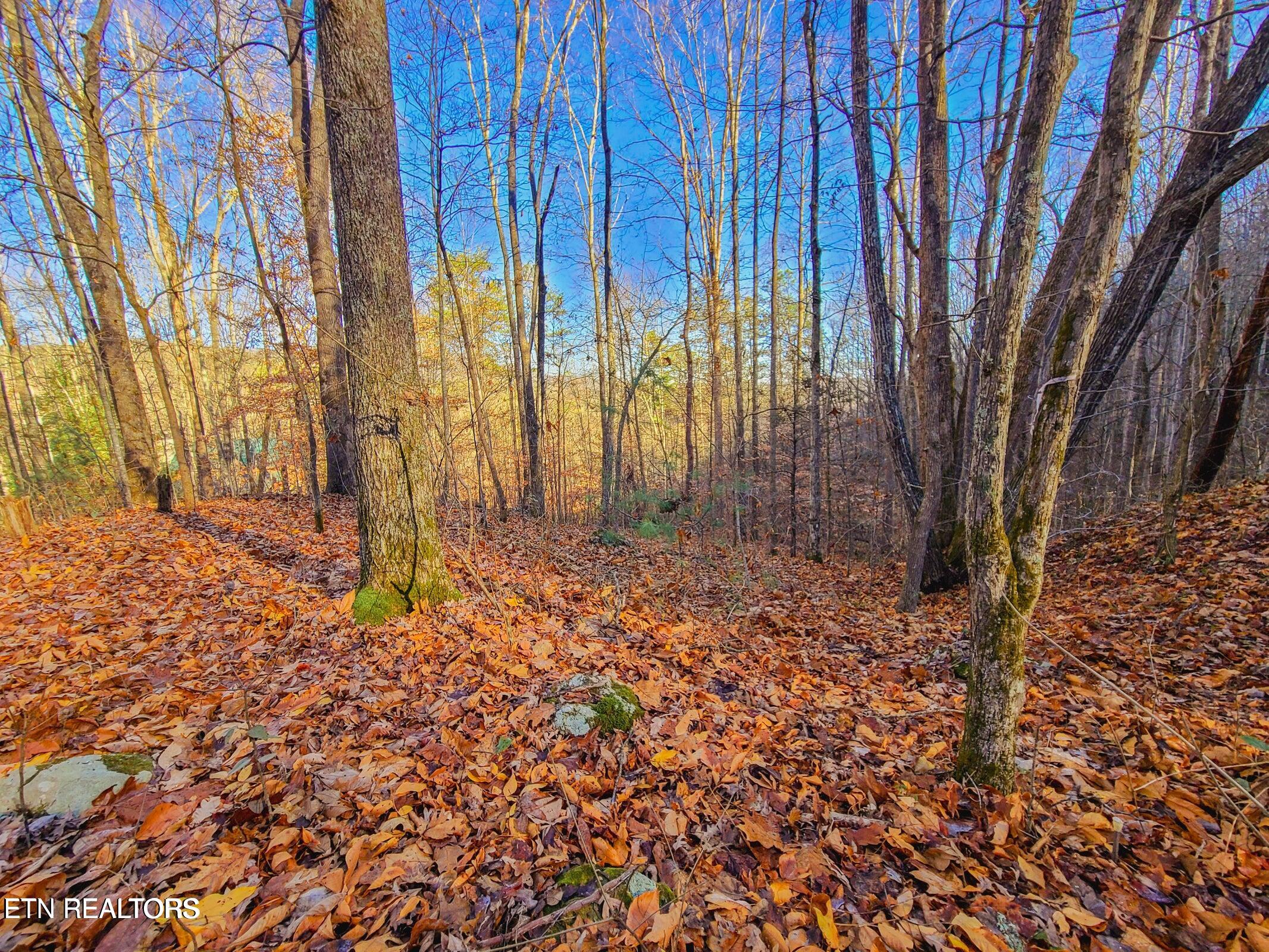 Lot 9 Walden Flats Way Sevierville TN 37862