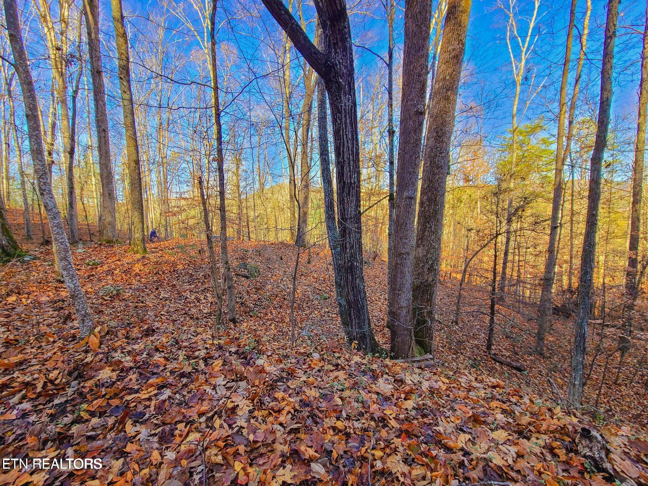 Lot 9 Walden Flats Way Sevierville TN 37862