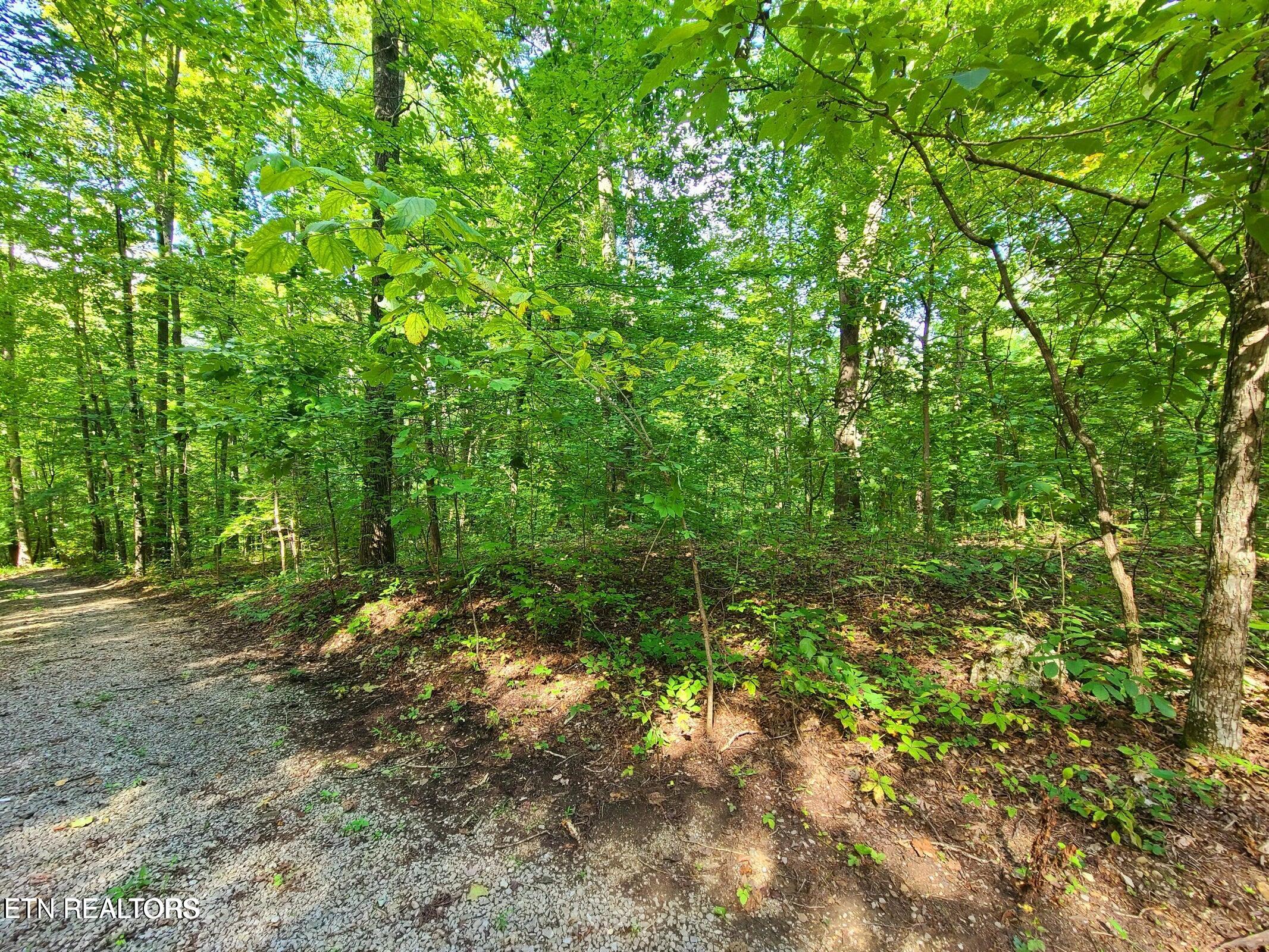 Lot 9 Walden Flats Way Sevierville TN 37862