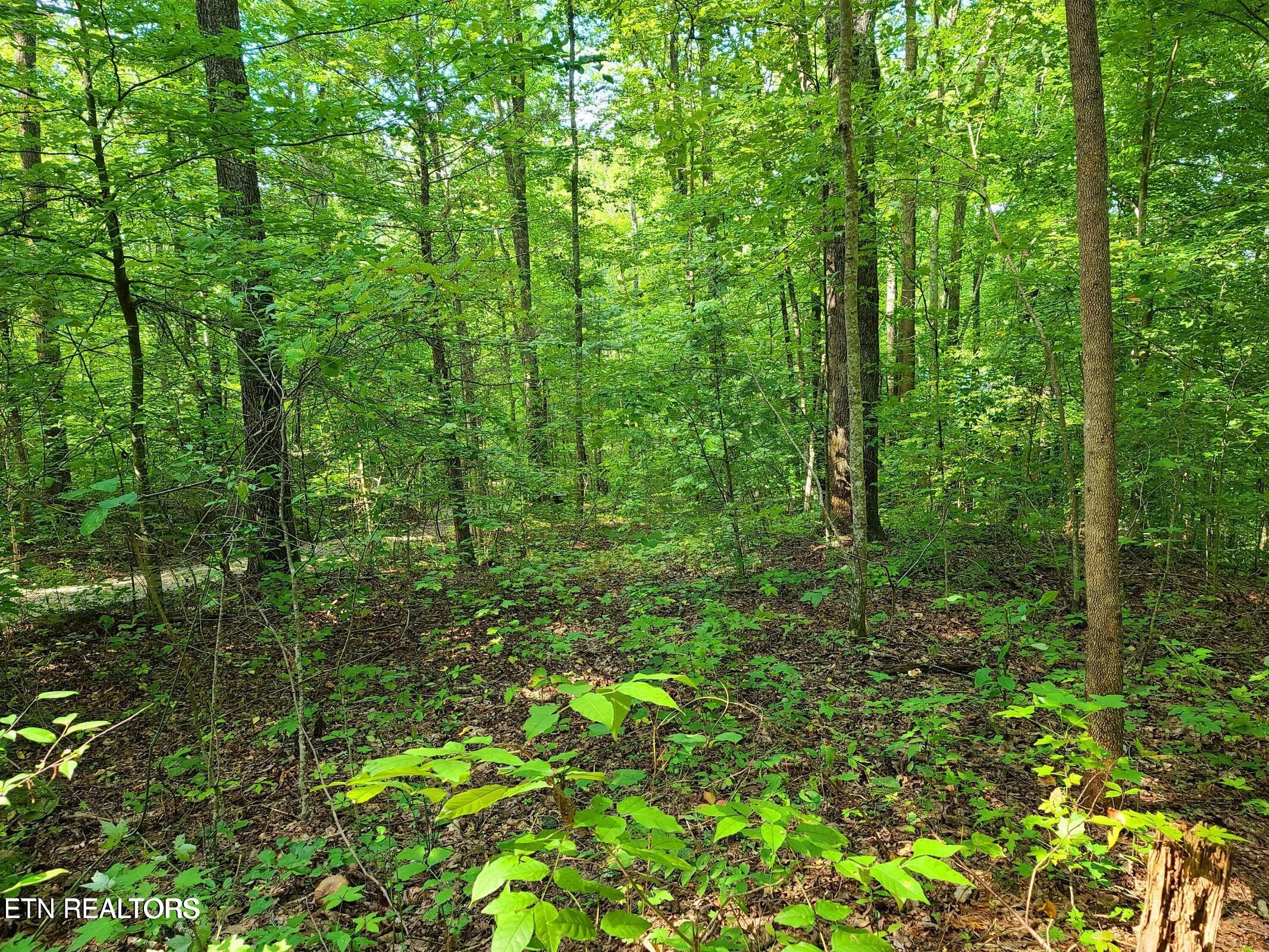 Lot 9 Walden Flats Way Sevierville TN 37862