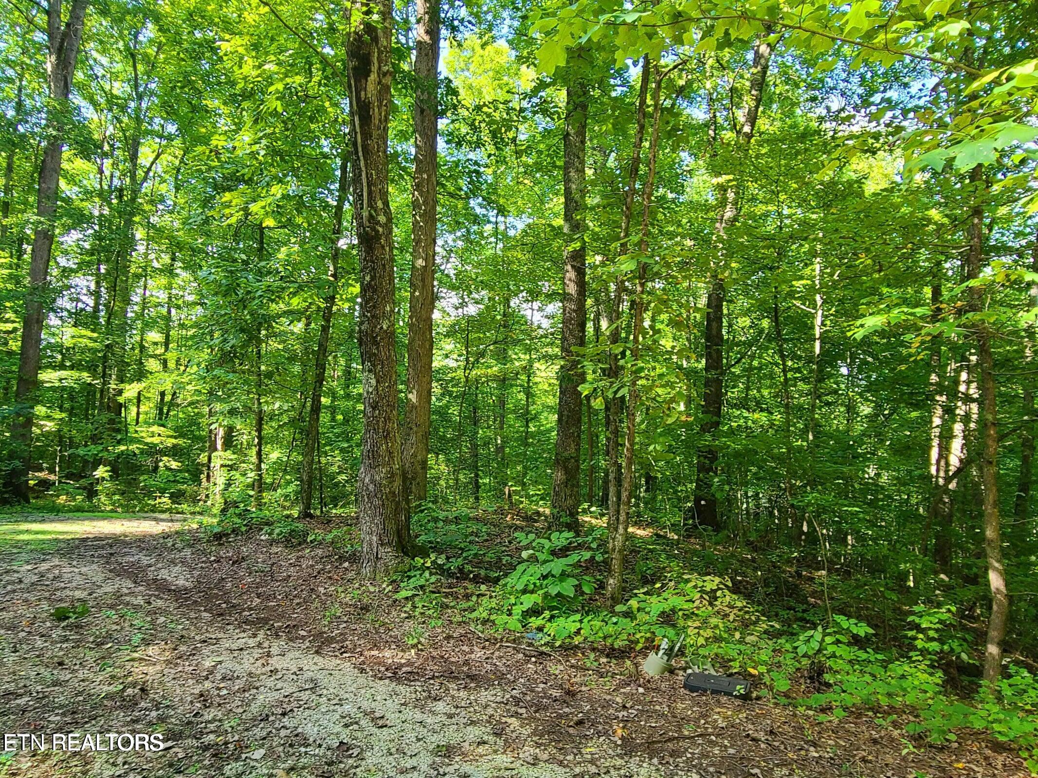 Lot 9 Walden Flats Way Sevierville TN 37862