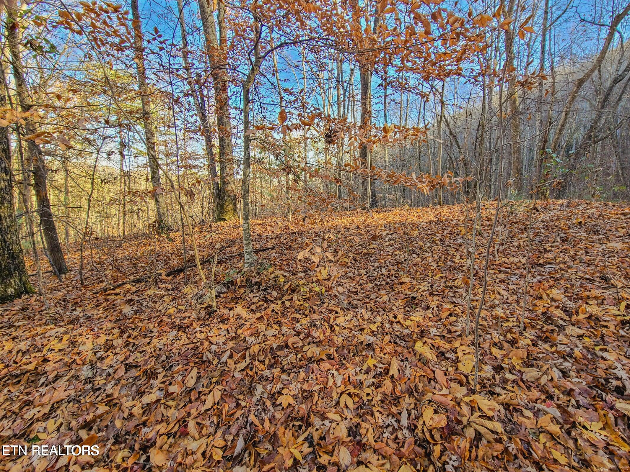 Lot 9 Walden Flats Way Sevierville TN 37862