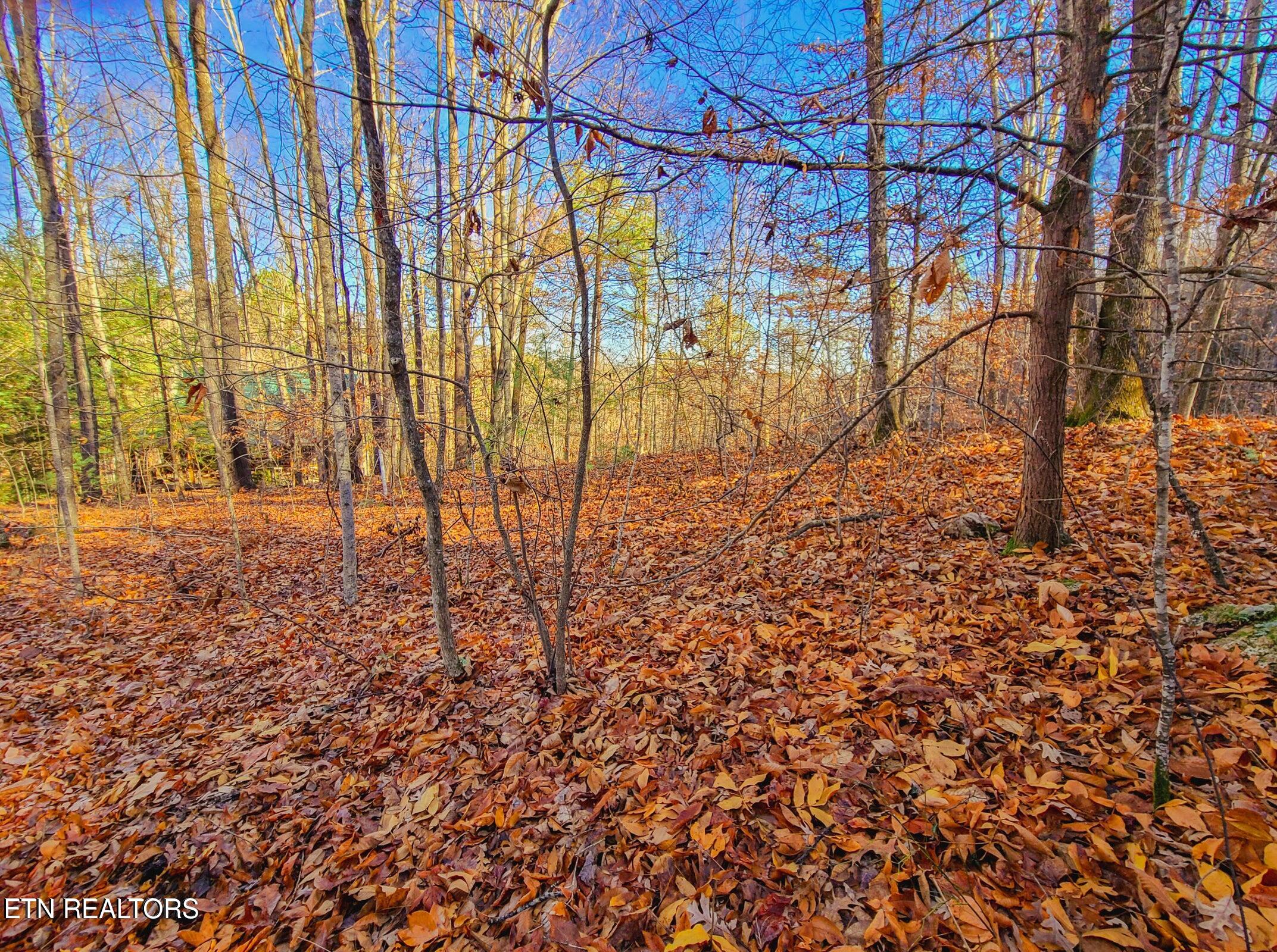 Lot 9 Walden Flats Way Sevierville TN 37862