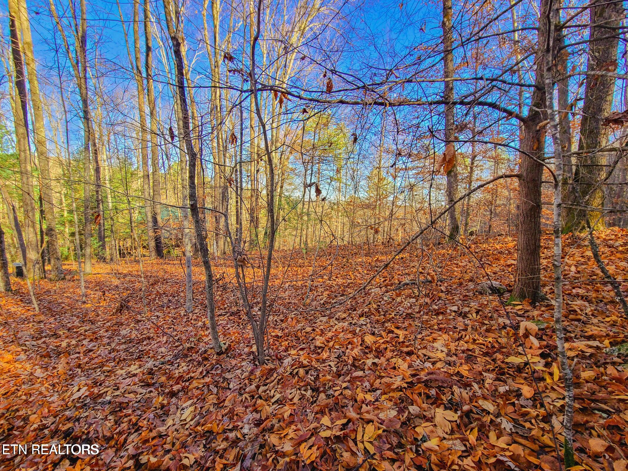 Lot 9 Walden Flats Way Sevierville TN 37862