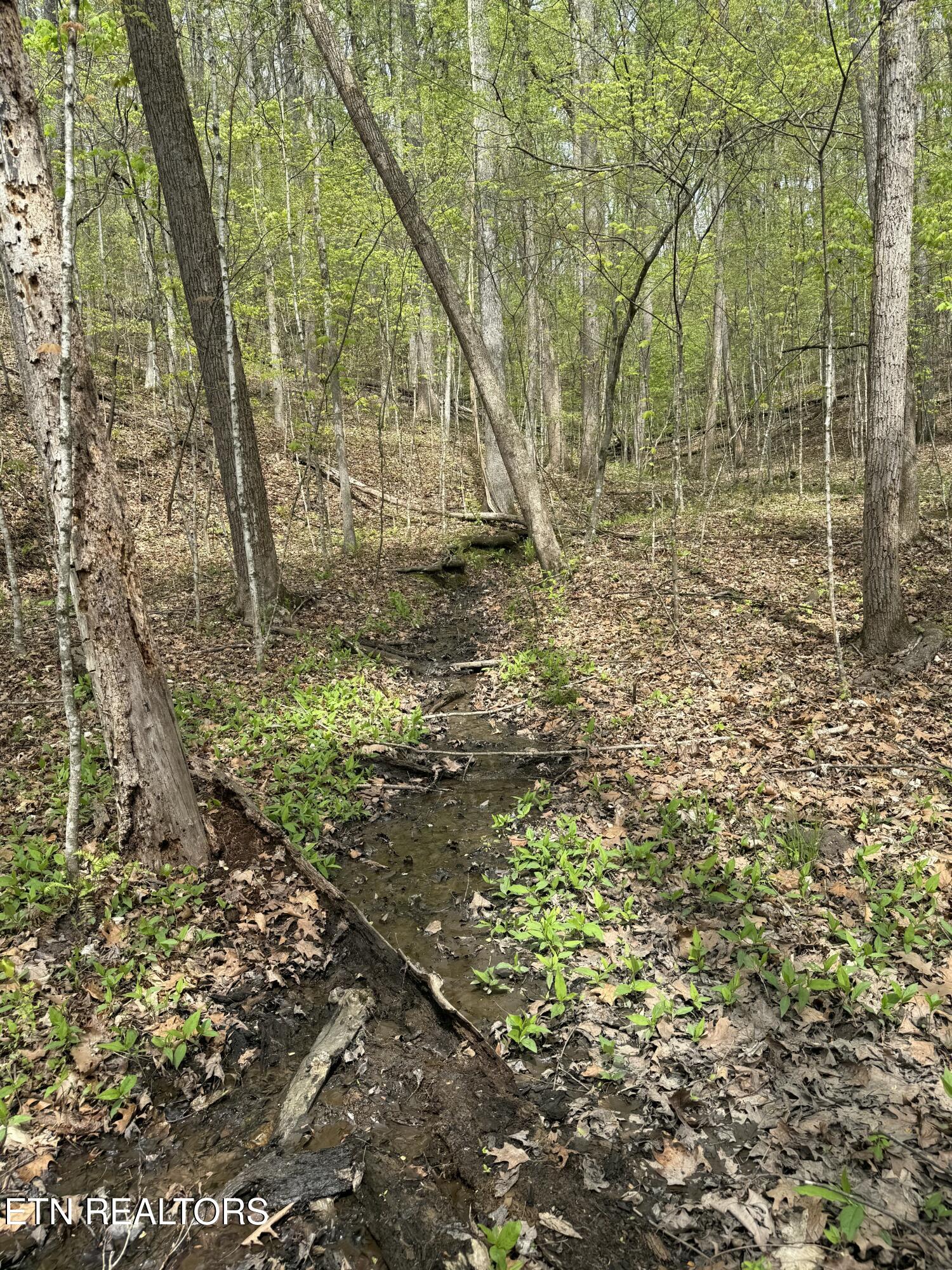 Lot 1 Yarnell Road Knoxville TN 37932