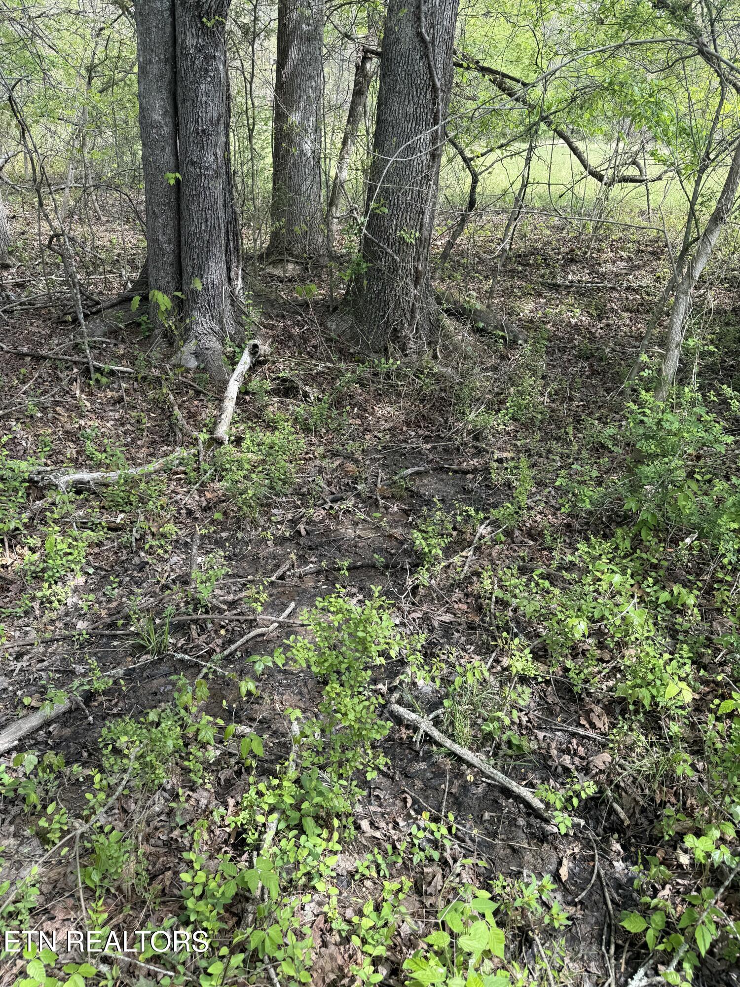 Lot 1 Yarnell Road Knoxville TN 37932