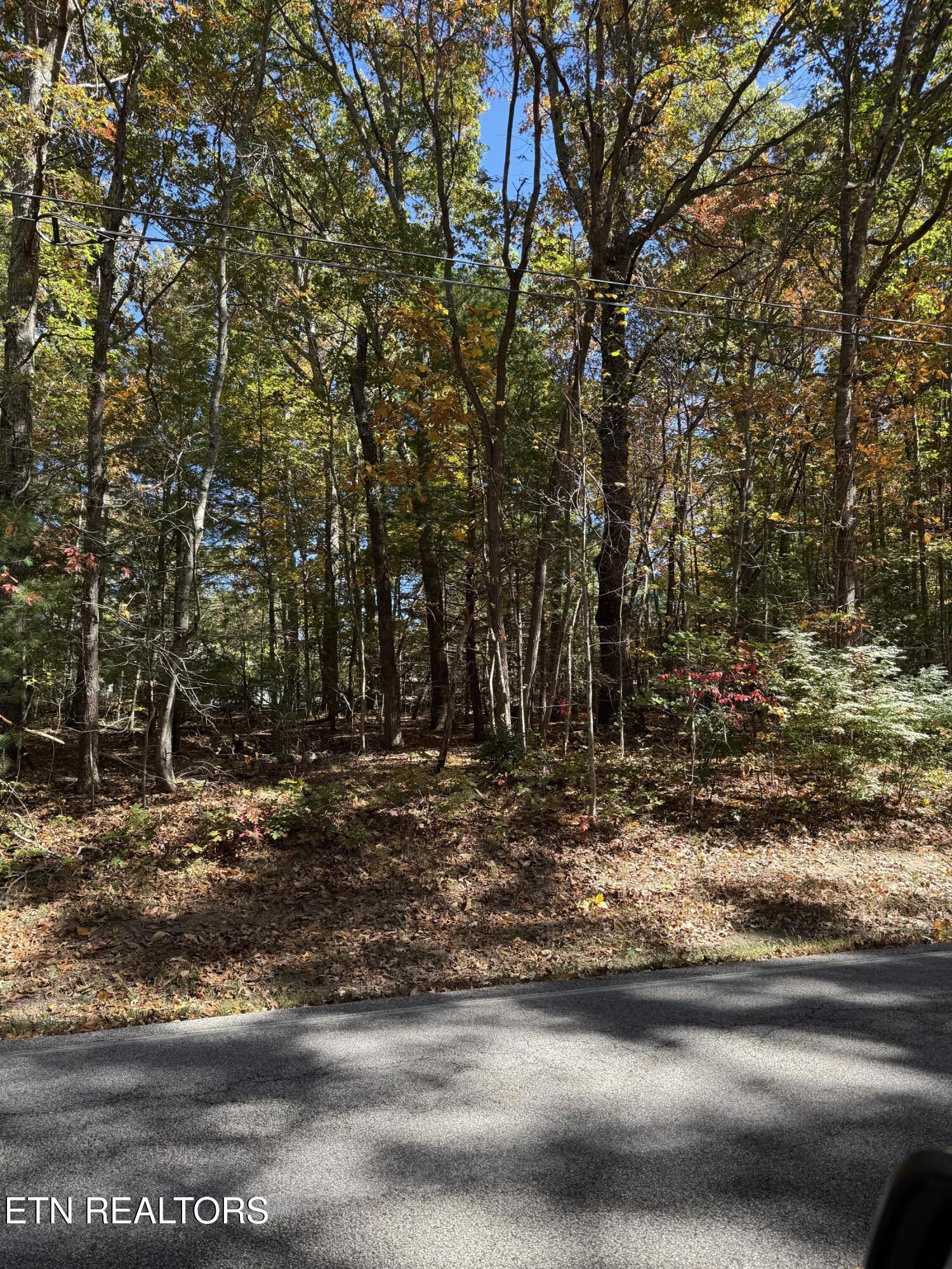 229 St George Drive Crossville TN 38558