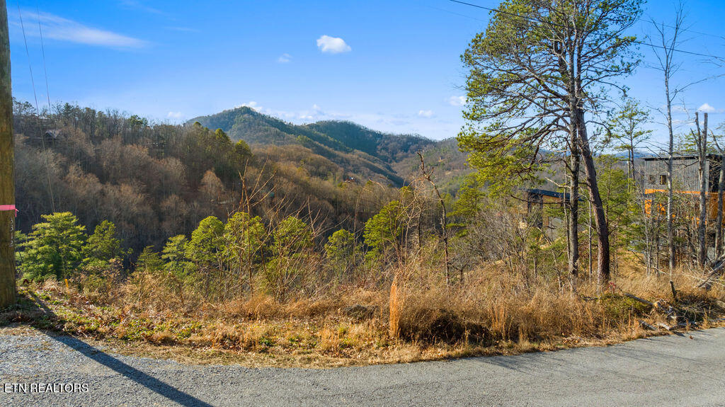 Sugar Maple Loop Lot #1 Road Sevierville TN 37862