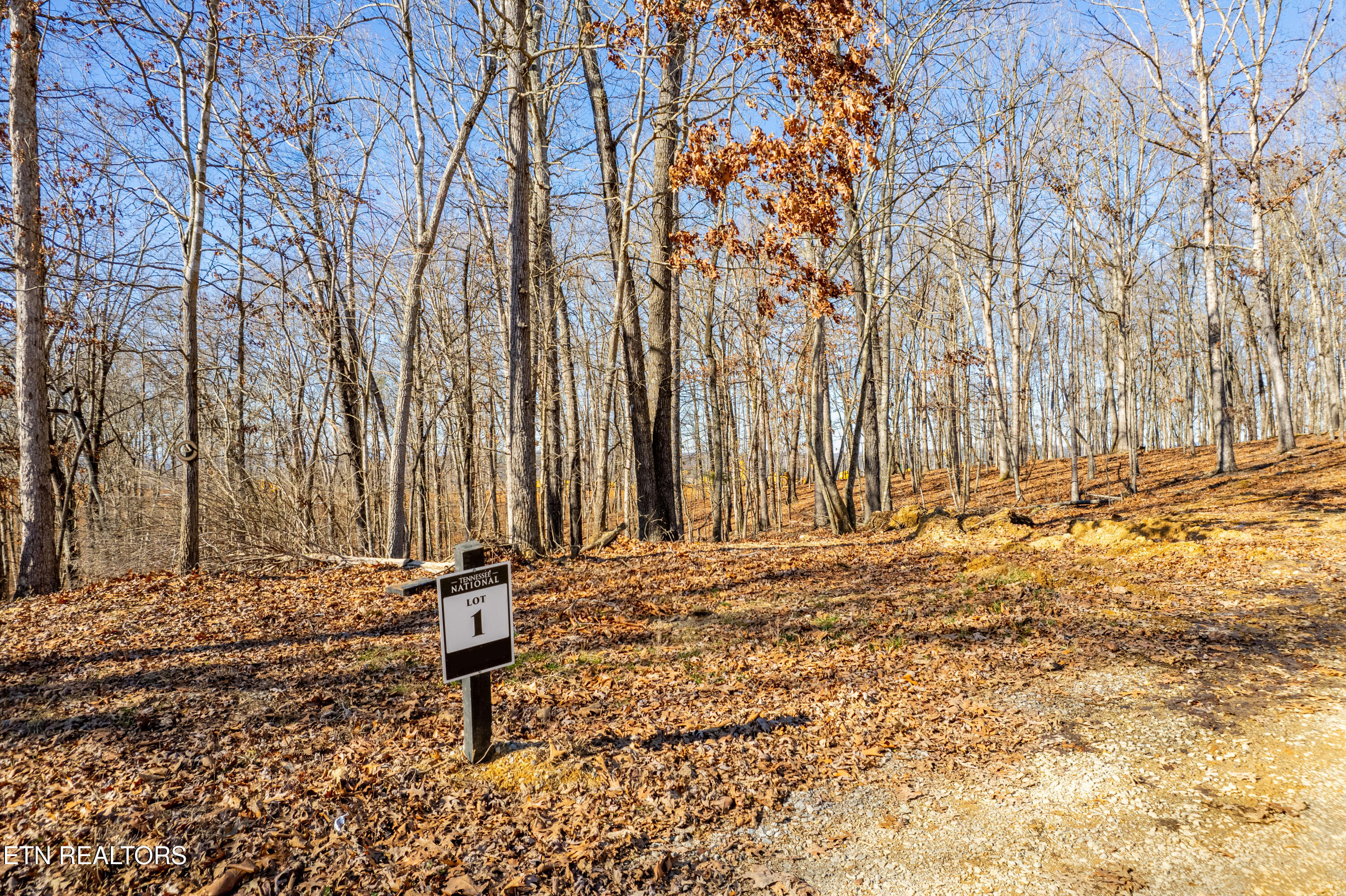 2501 Old Dogwood Trail Loudon TN 37774