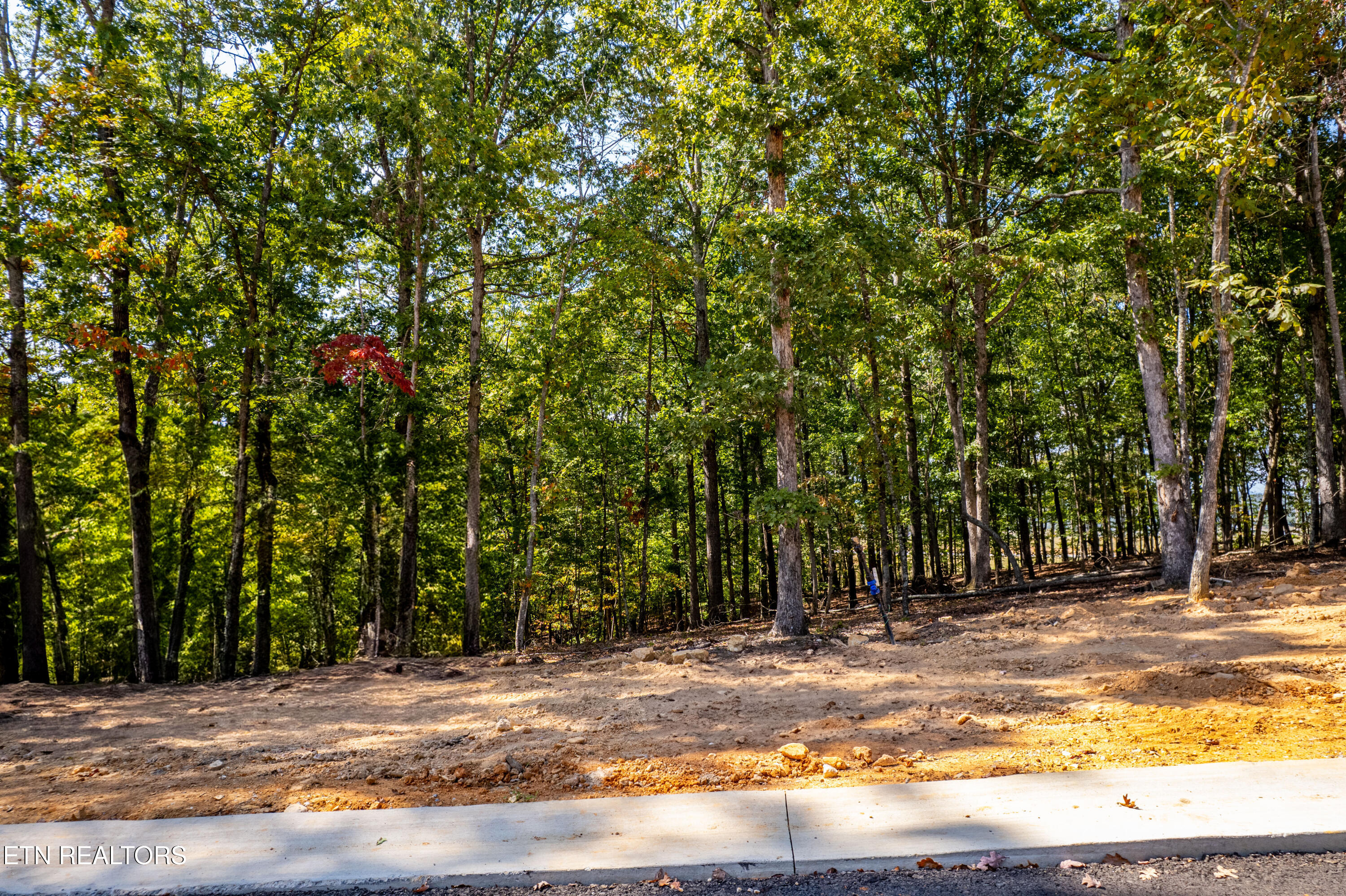 2501 Old Dogwood Trail Loudon TN 37774