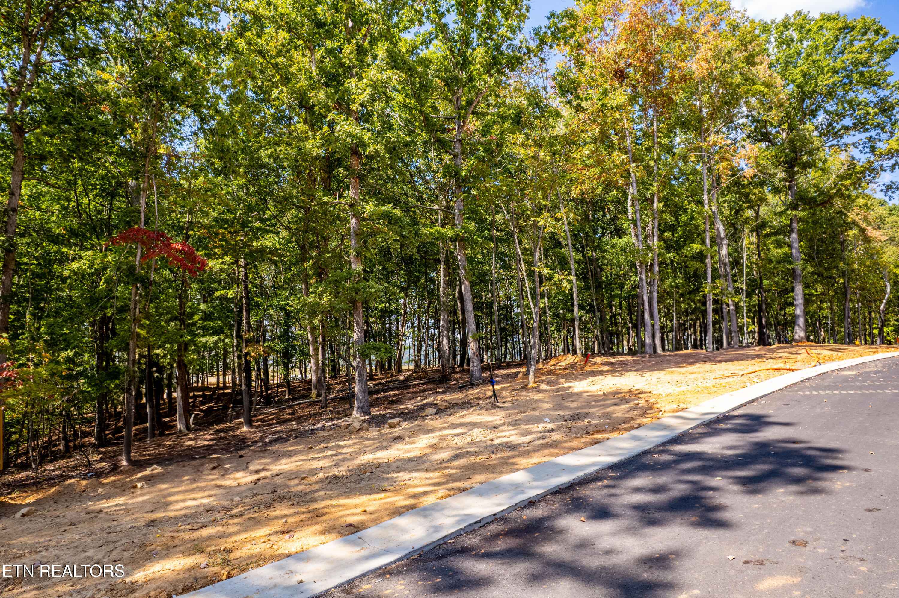 2501 Old Dogwood Trail Loudon TN 37774