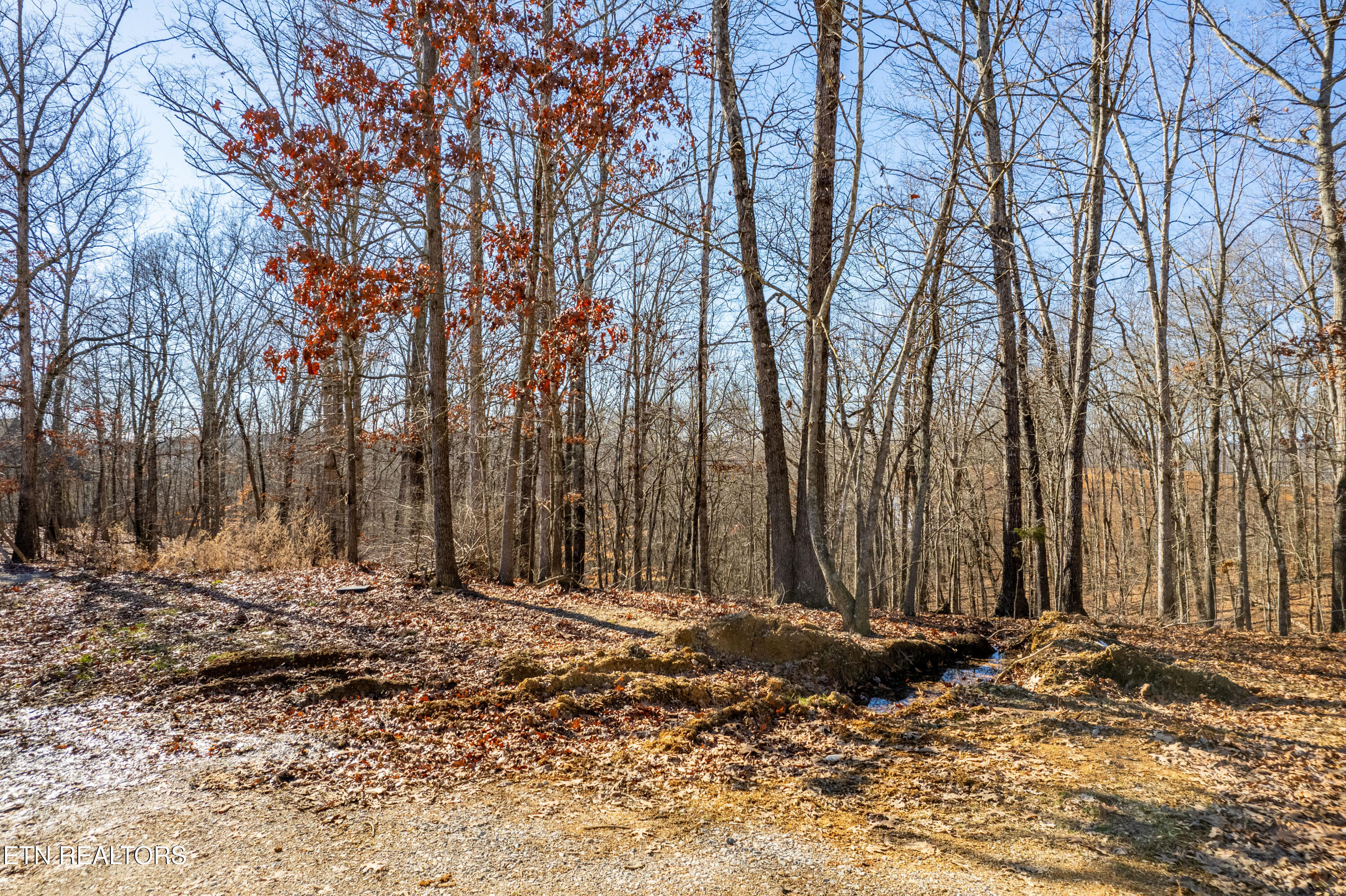 2501 Old Dogwood Trail Loudon TN 37774
