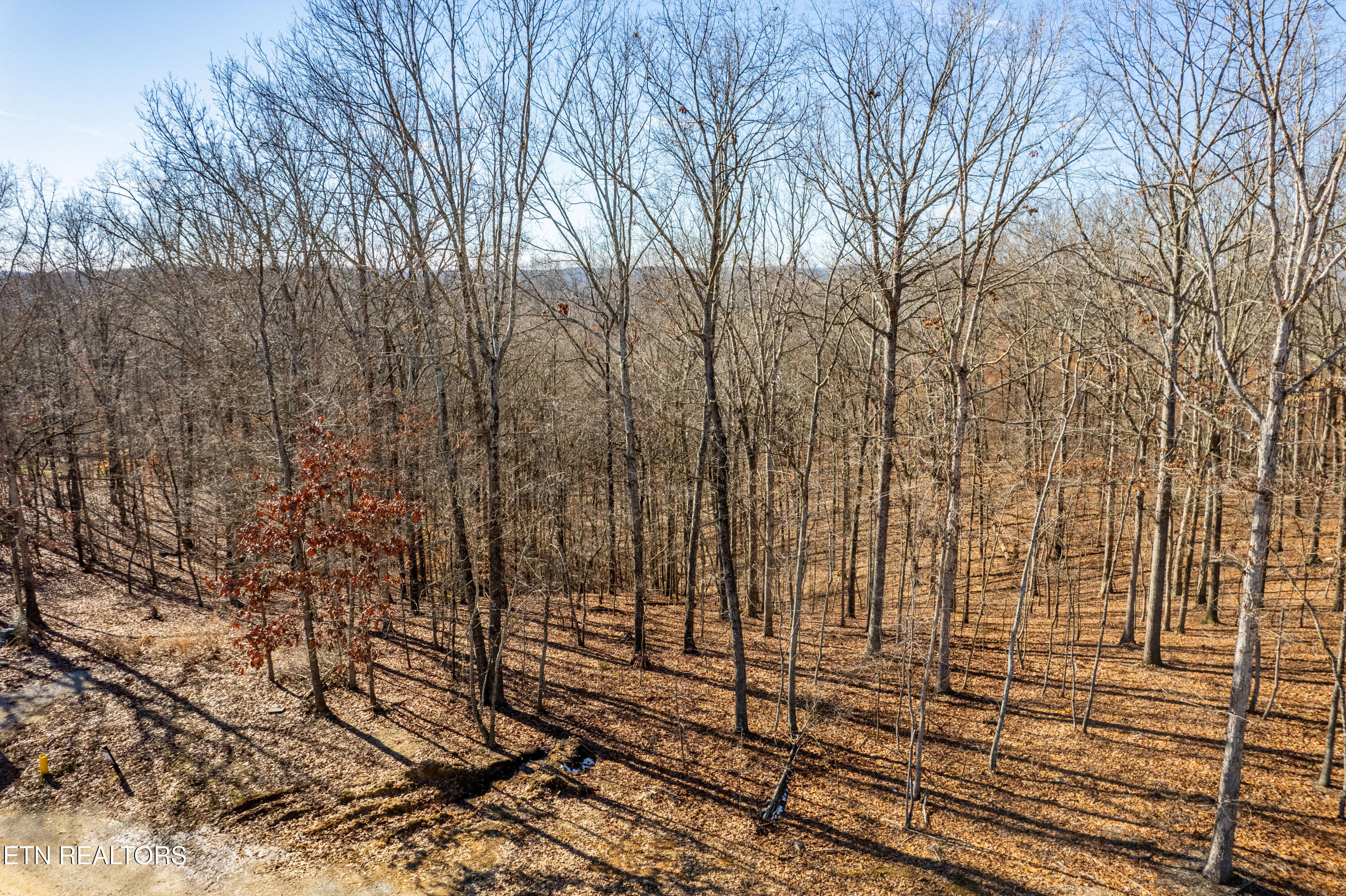 2501 Old Dogwood Trail Loudon TN 37774