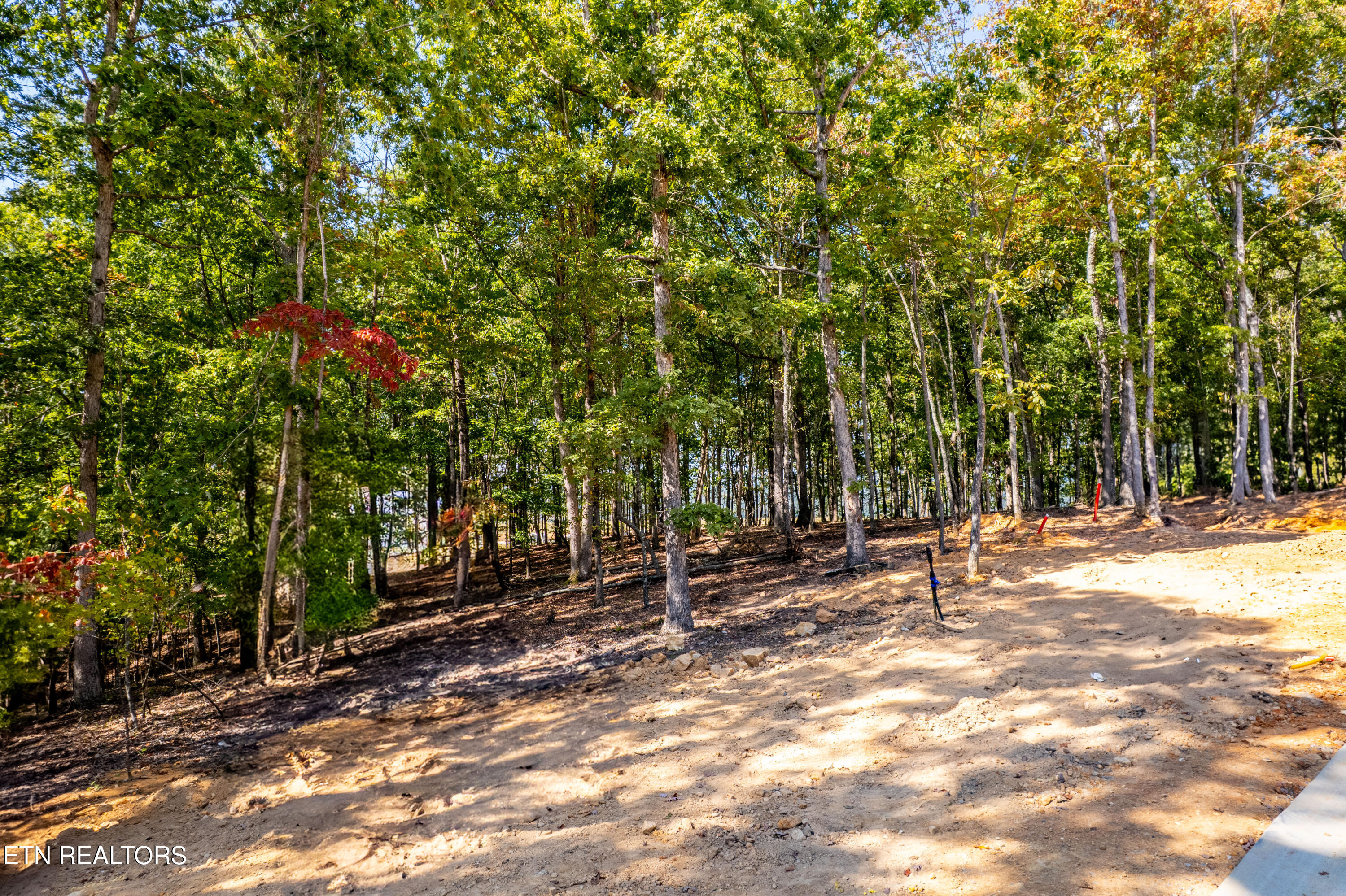 2501 Old Dogwood Trail Loudon TN 37774