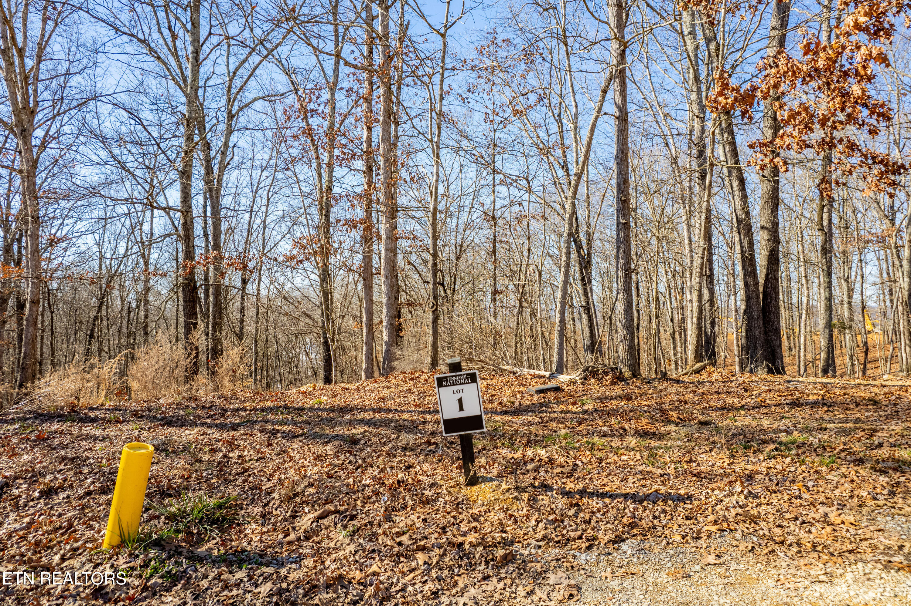 2501 Old Dogwood Trail Loudon TN 37774