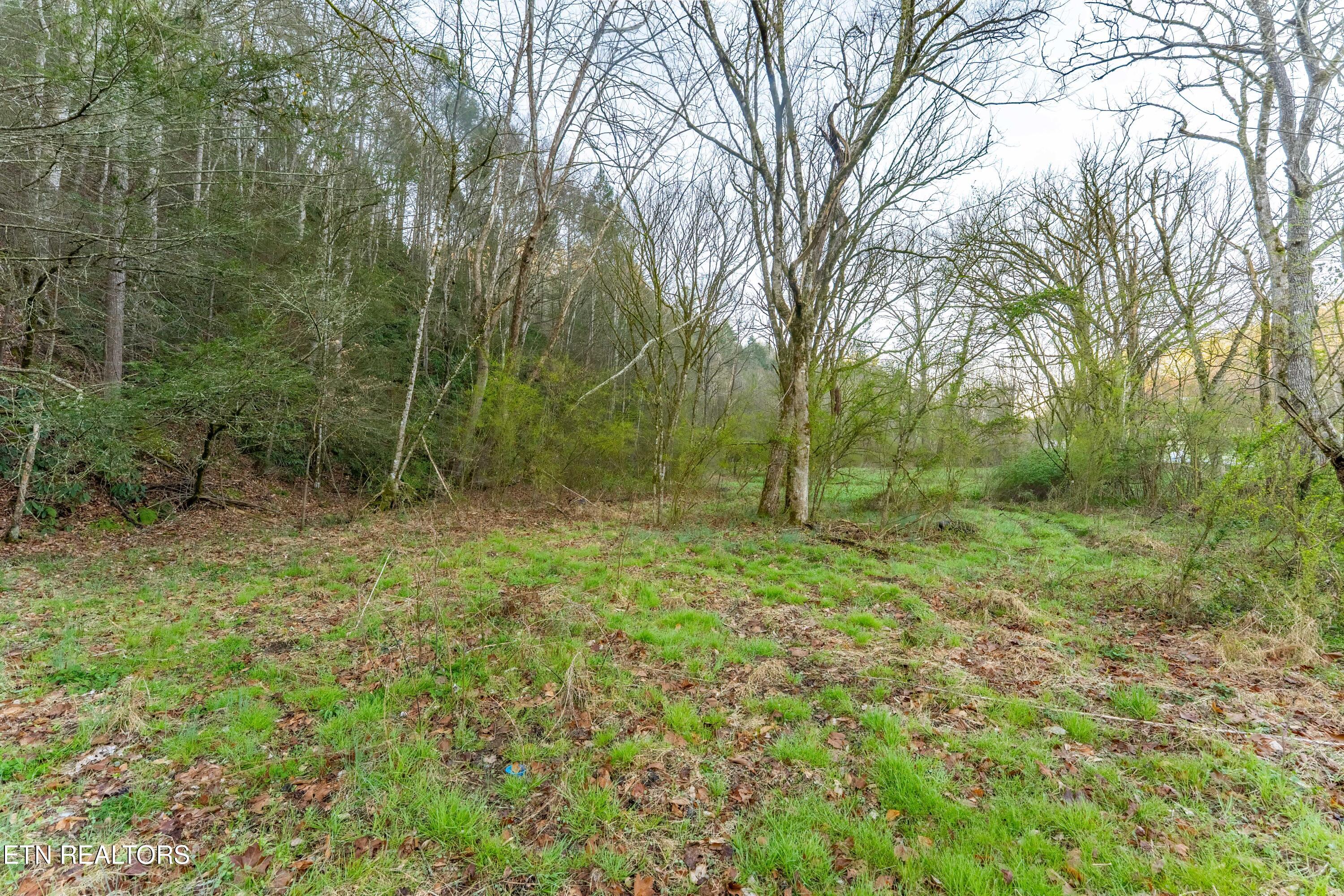 Bogard Road Cosby TN 37722