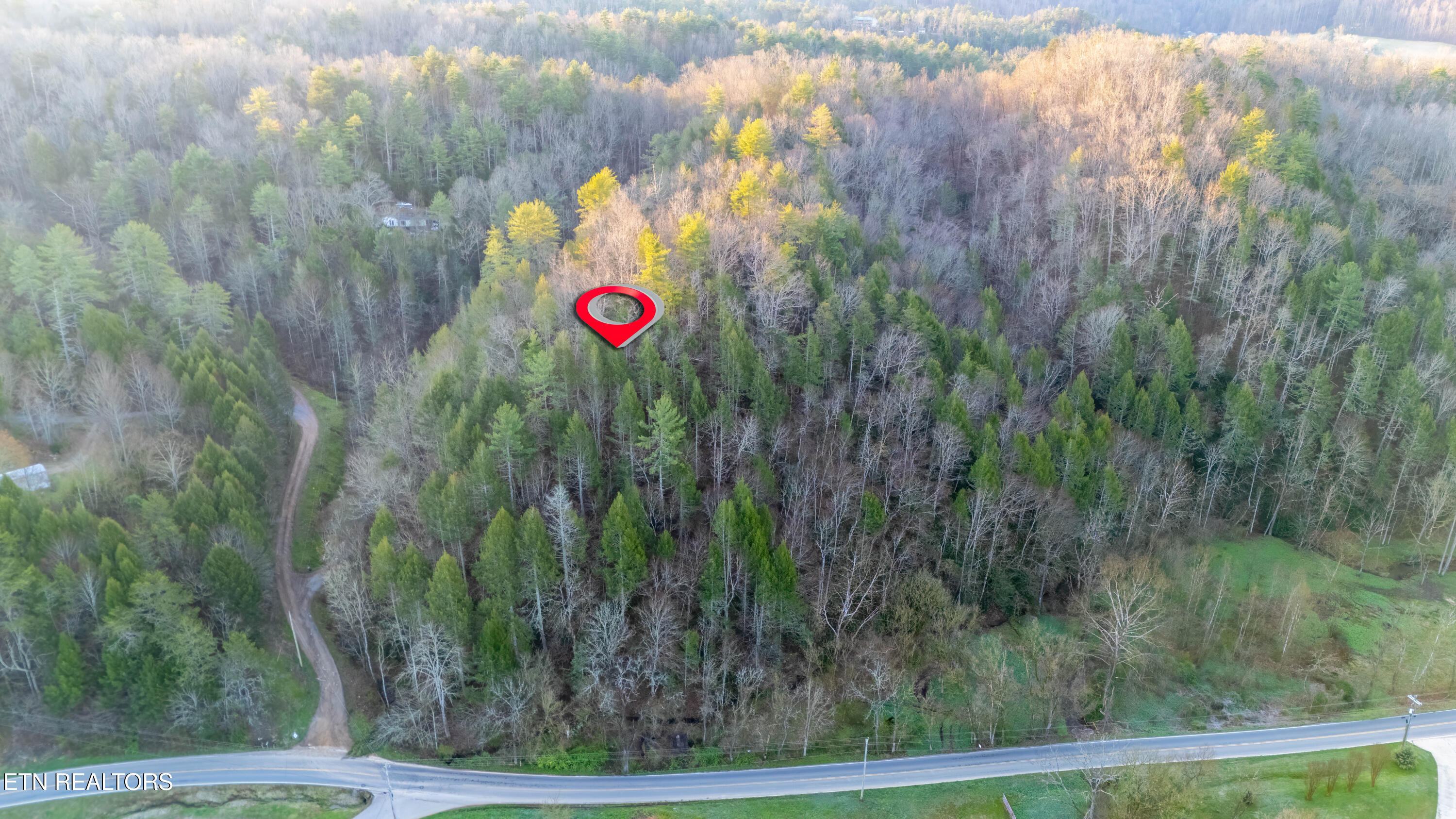 Bogard Road Cosby TN 37722