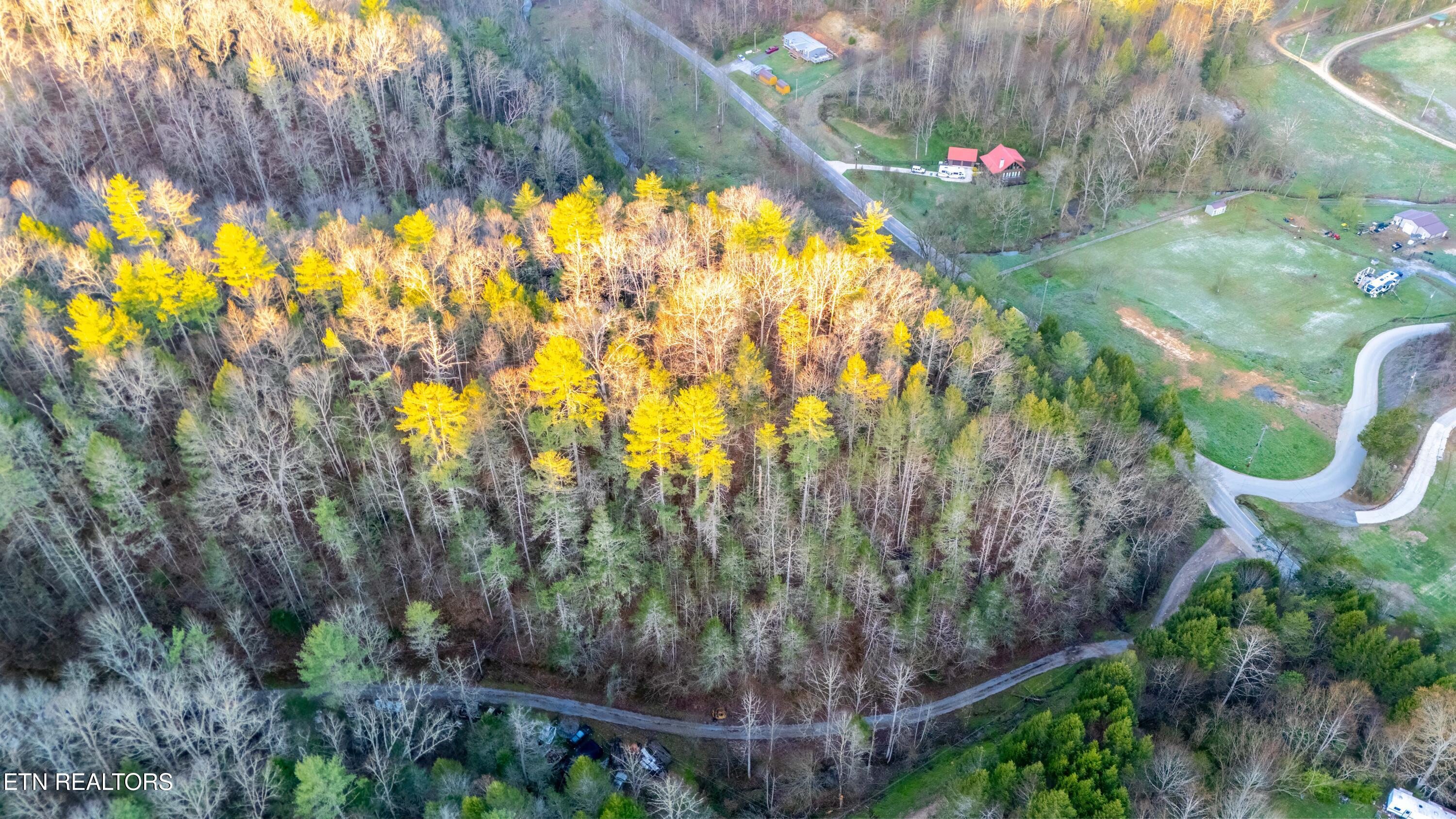 Bogard Road Cosby TN 37722