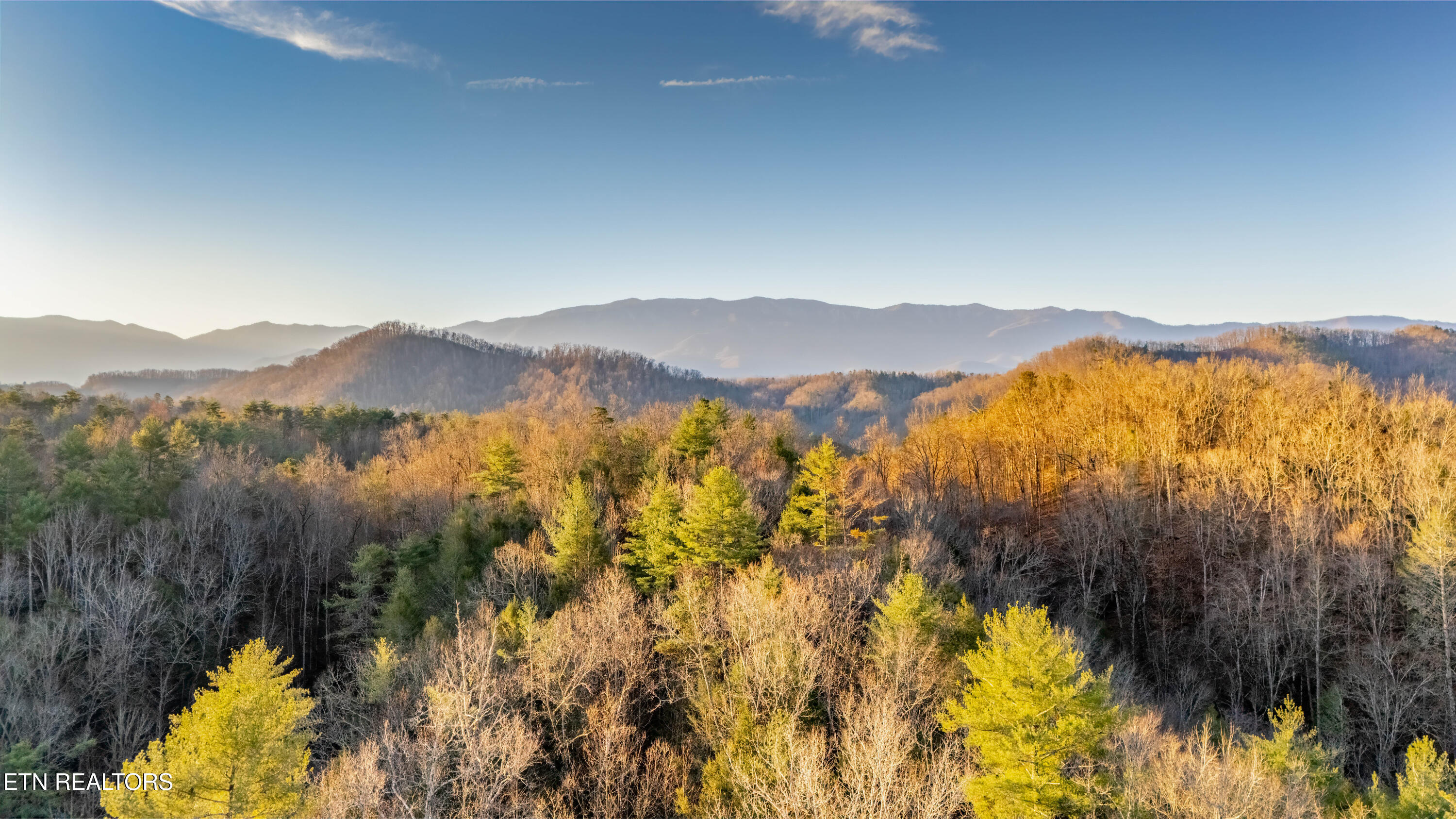 Bogard Road Cosby TN 37722