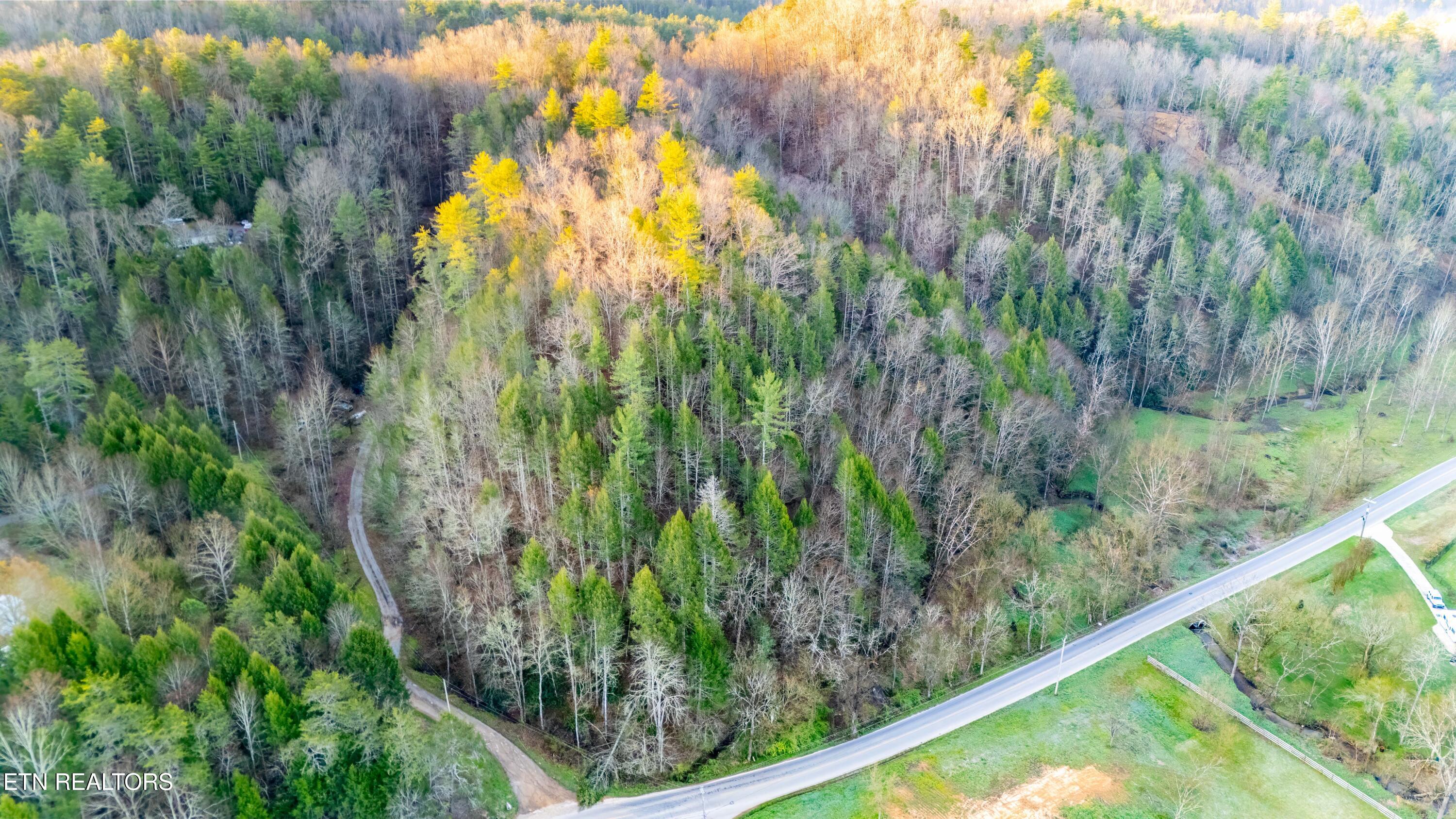 Bogard Road Cosby TN 37722