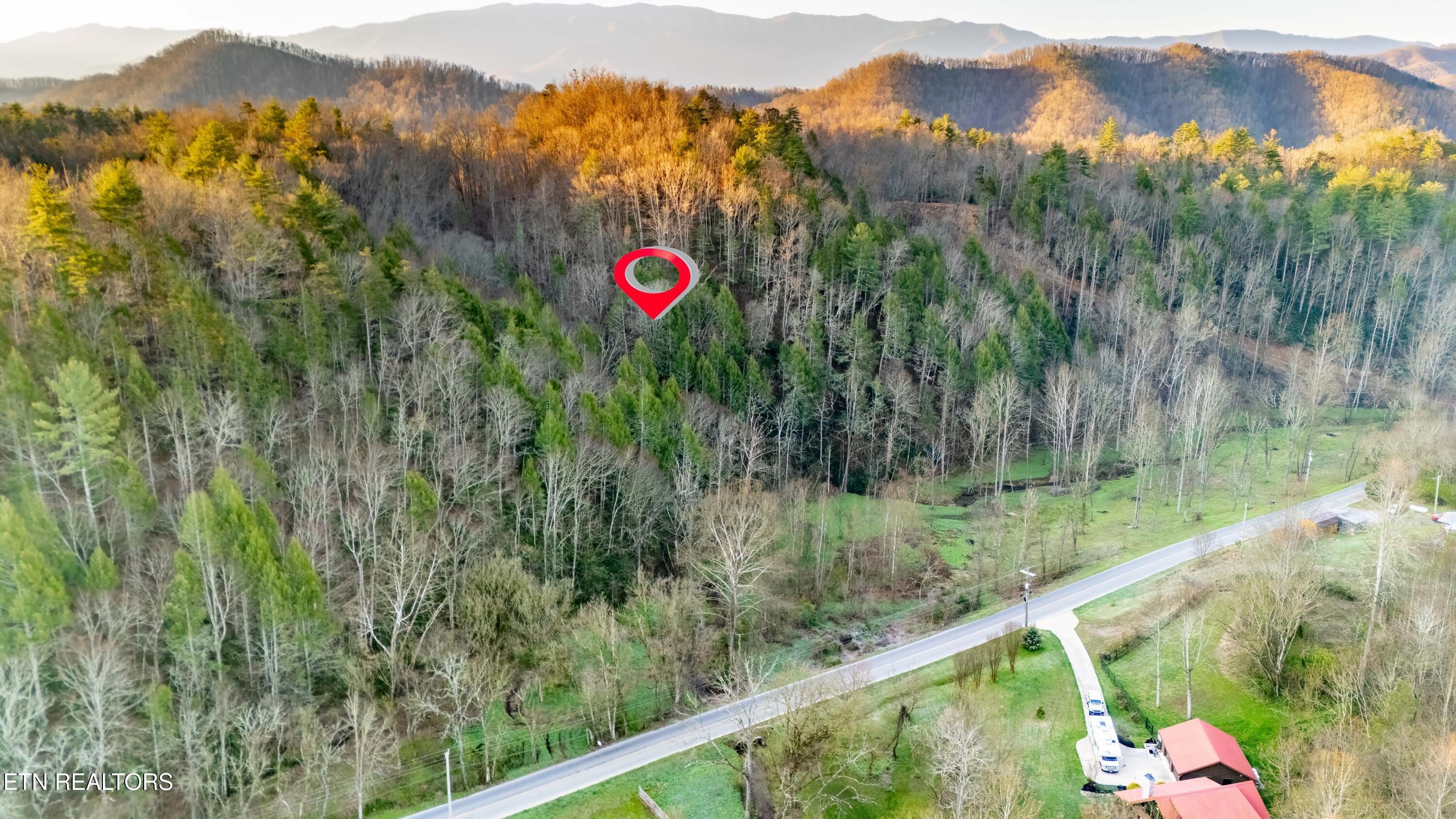 Bogard Road Cosby TN 37722